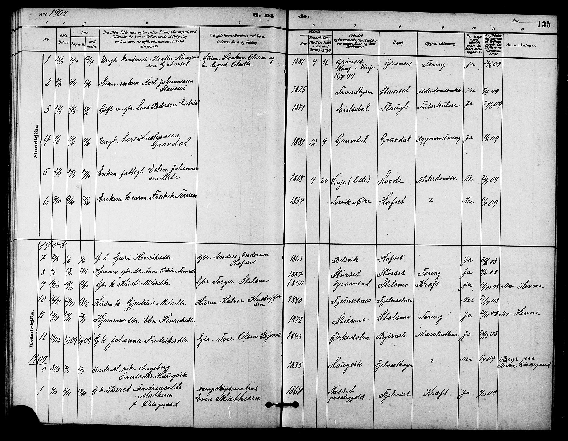 Ministerialprotokoller, klokkerbøker og fødselsregistre - Sør-Trøndelag, SAT/A-1456/631/L0514: Parish register (copy) no. 631C02, 1879-1912, p. 135