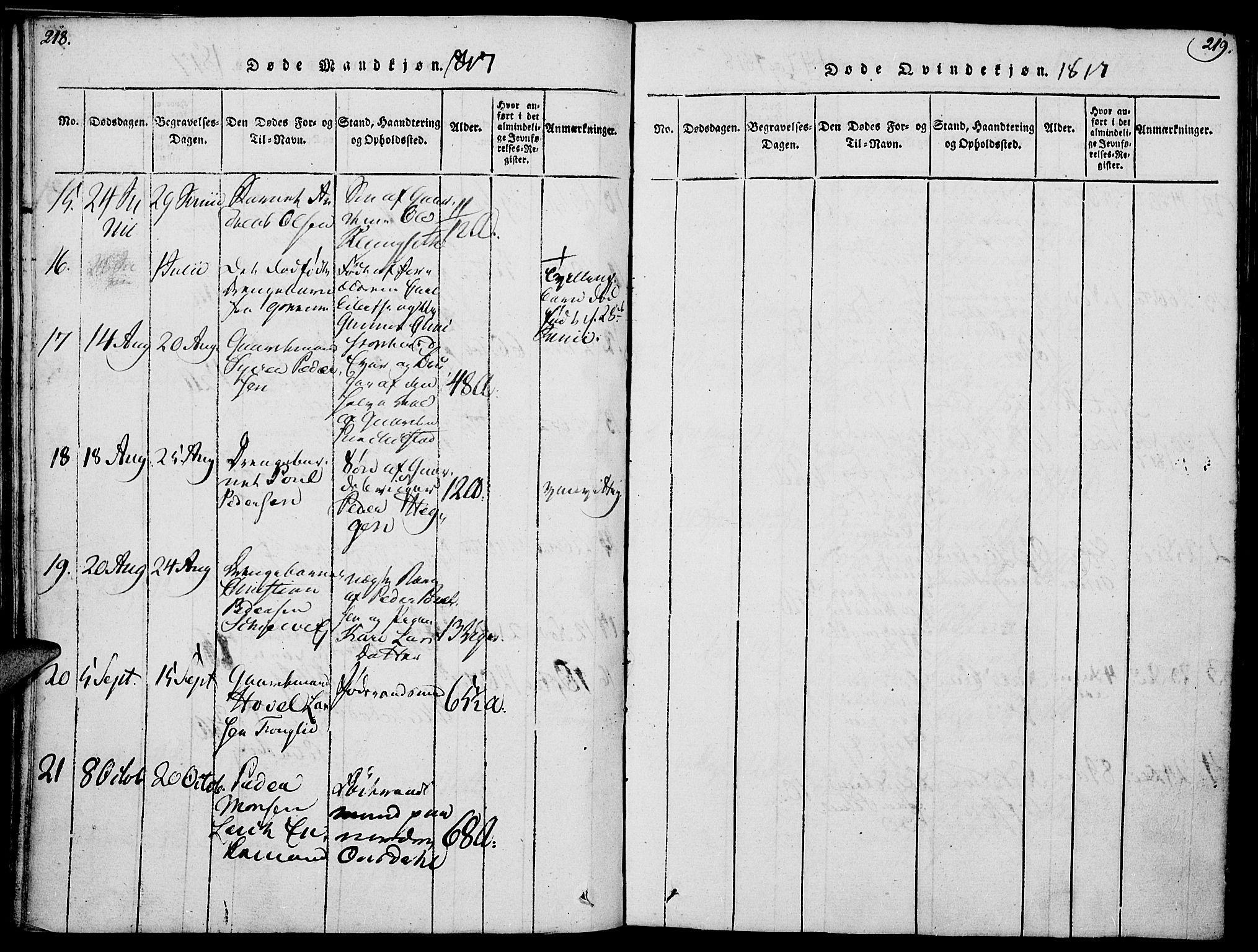 Nes prestekontor, Hedmark, AV/SAH-PREST-020/K/Ka/L0002: Parish register (official) no. 2, 1813-1827, p. 218-219