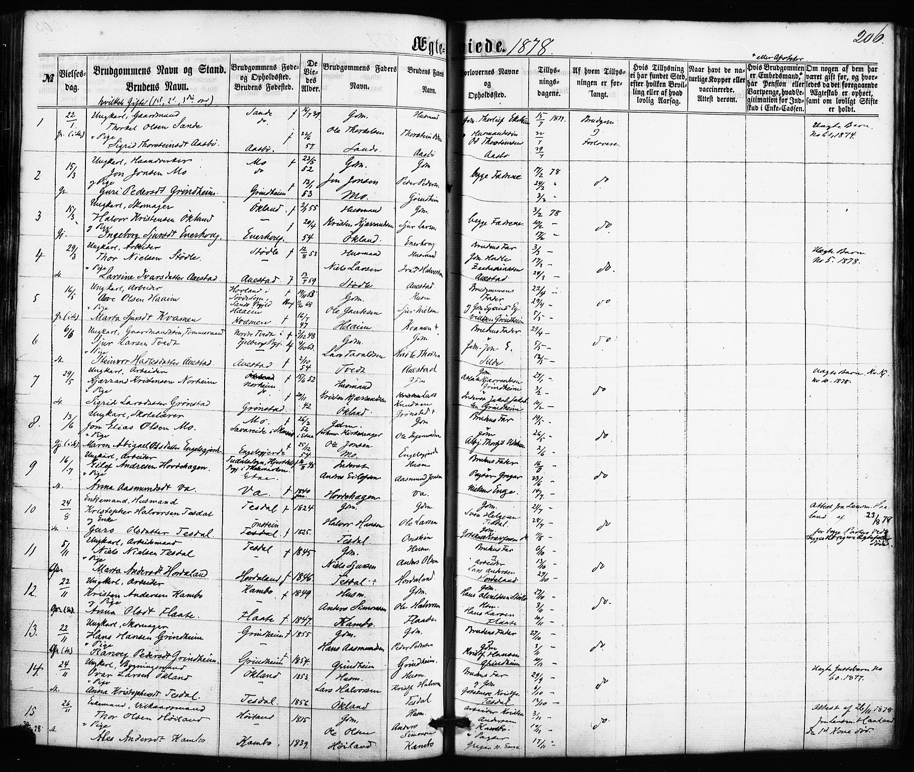 Etne sokneprestembete, AV/SAB-A-75001/H/Haa: Parish register (official) no. A 9, 1862-1878, p. 206
