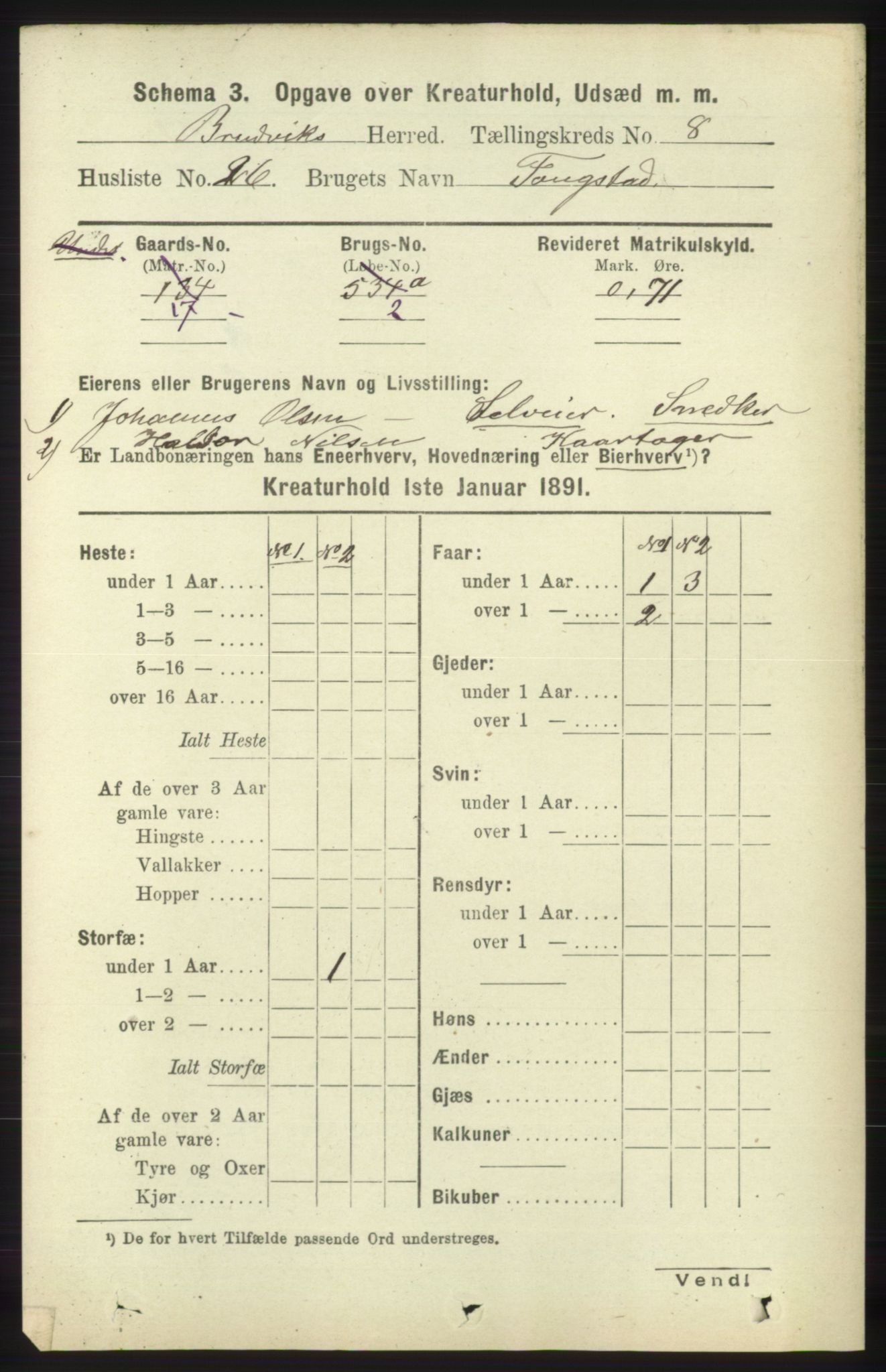 RA, 1891 census for 1251 Bruvik, 1891, p. 4794