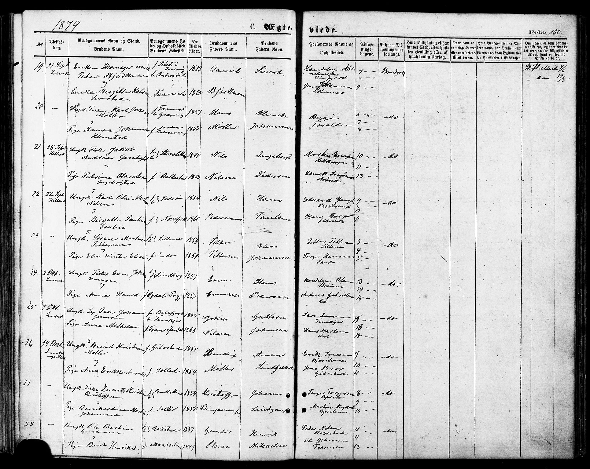 Lenvik sokneprestembete, SATØ/S-1310/H/Ha/Haa/L0010kirke: Parish register (official) no. 10, 1873-1880, p. 160