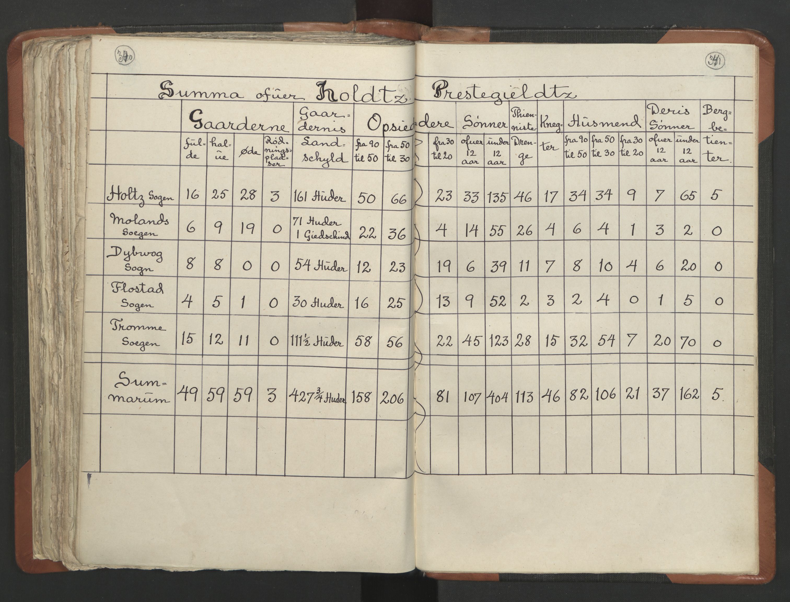 RA, Vicar's Census 1664-1666, no. 13: Nedenes deanery, 1664-1666, p. 340-341