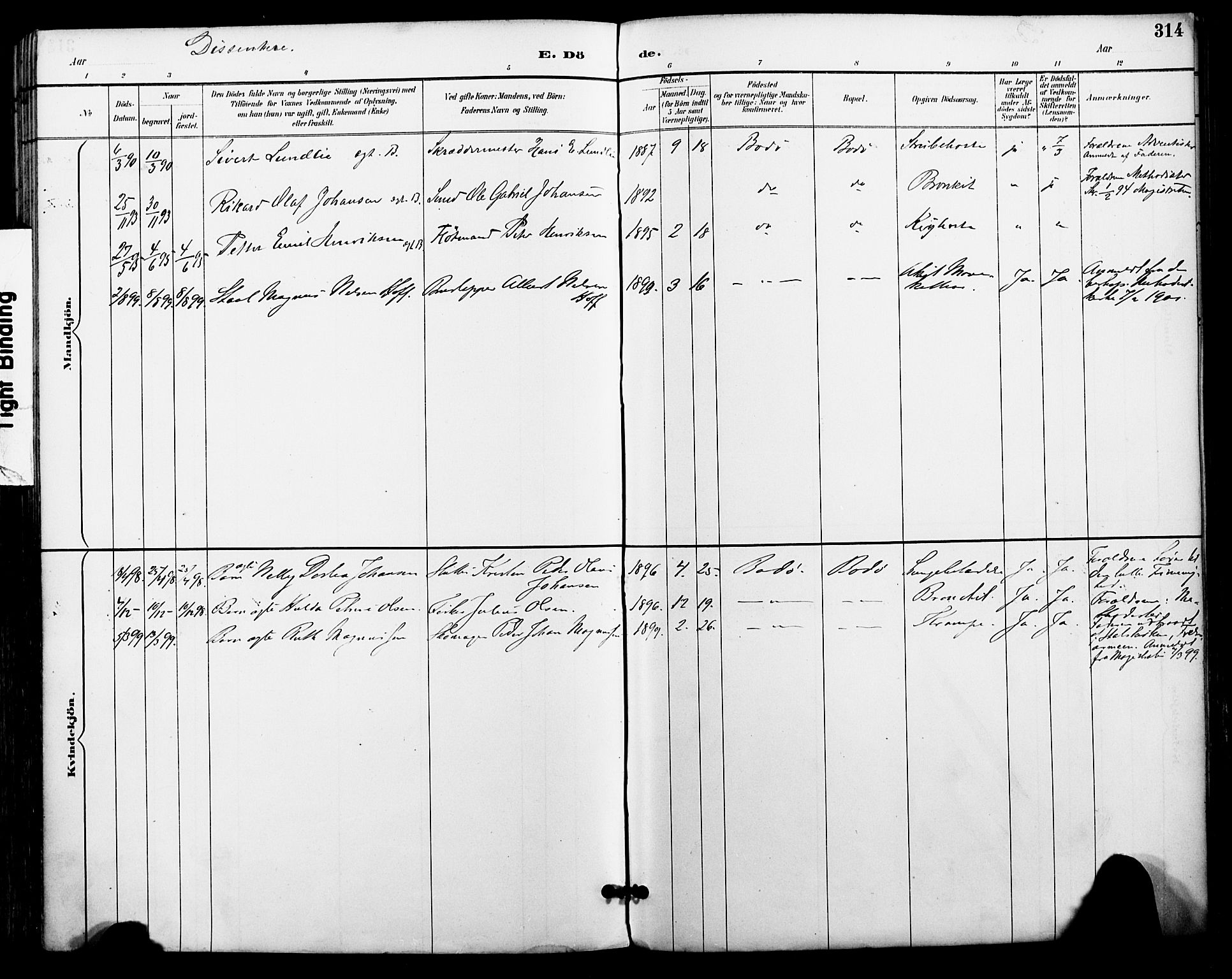 Ministerialprotokoller, klokkerbøker og fødselsregistre - Nordland, SAT/A-1459/801/L0010: Parish register (official) no. 801A10, 1888-1899, p. 314