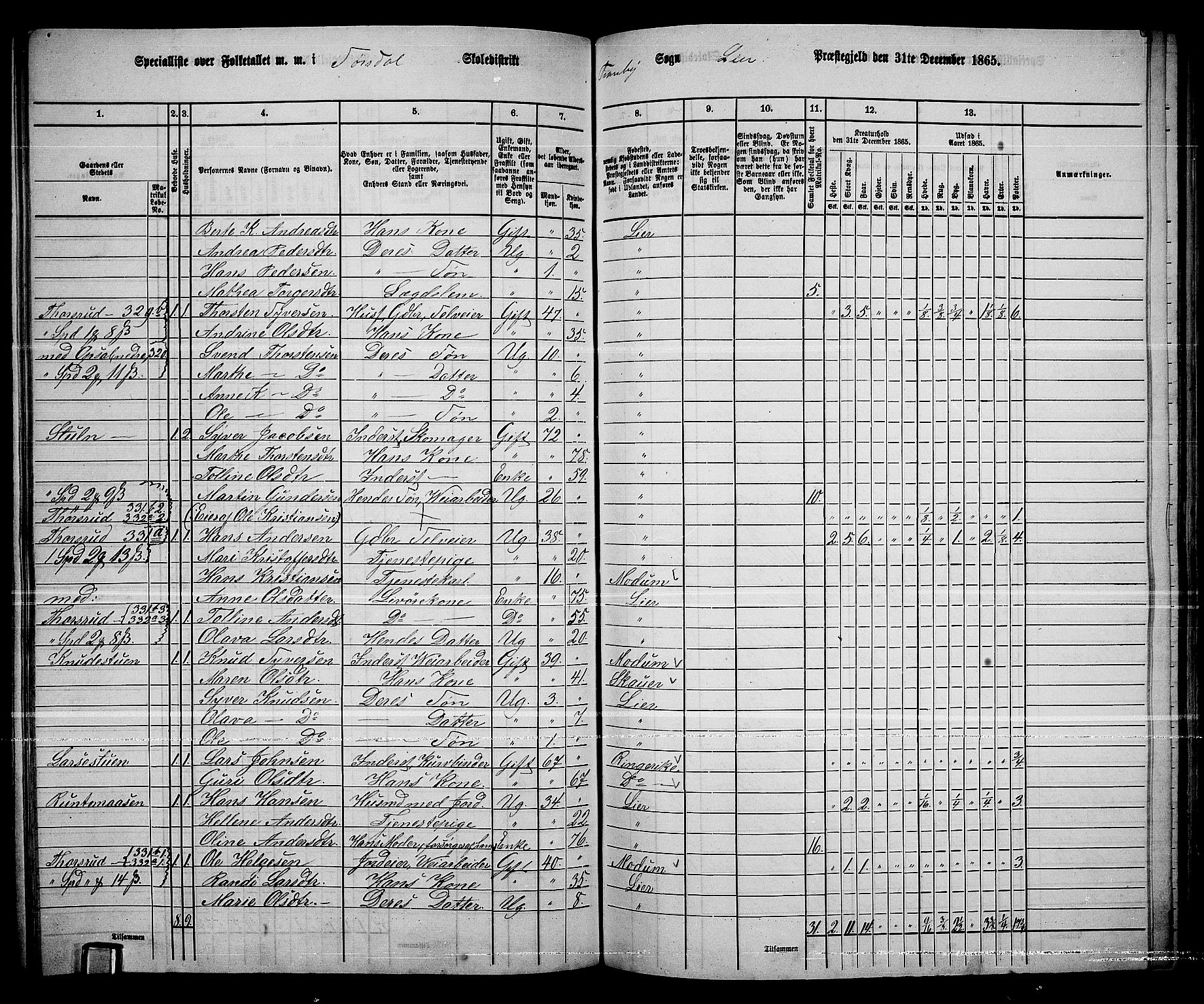 RA, 1865 census for Lier, 1865, p. 177