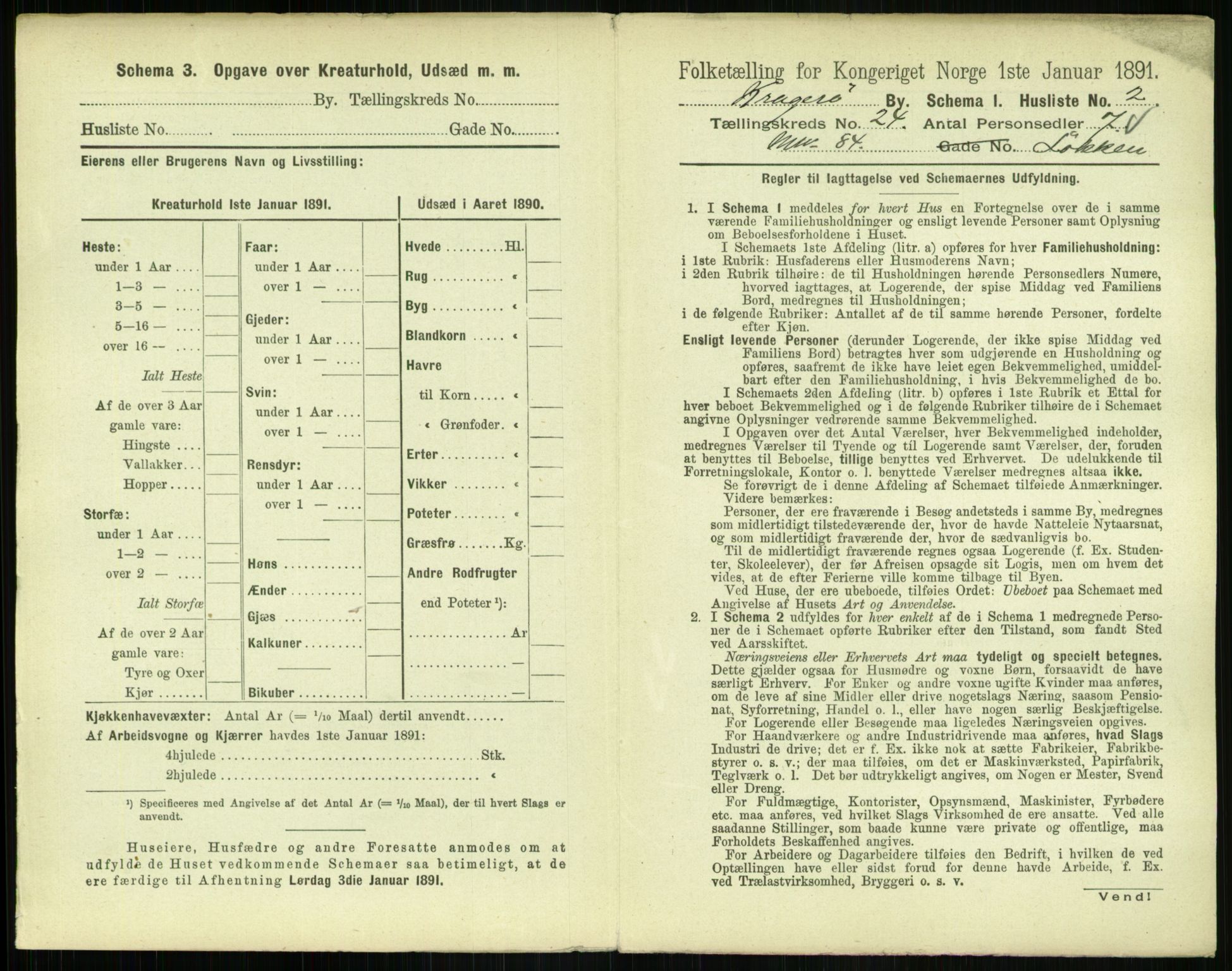 RA, 1891 census for 0801 Kragerø, 1891, p. 906