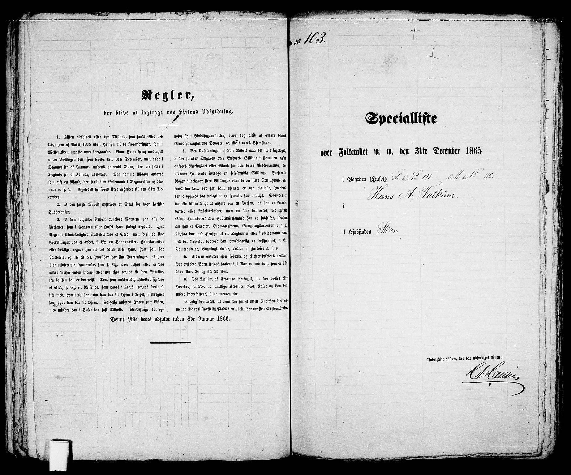 RA, 1865 census for Skien, 1865, p. 217