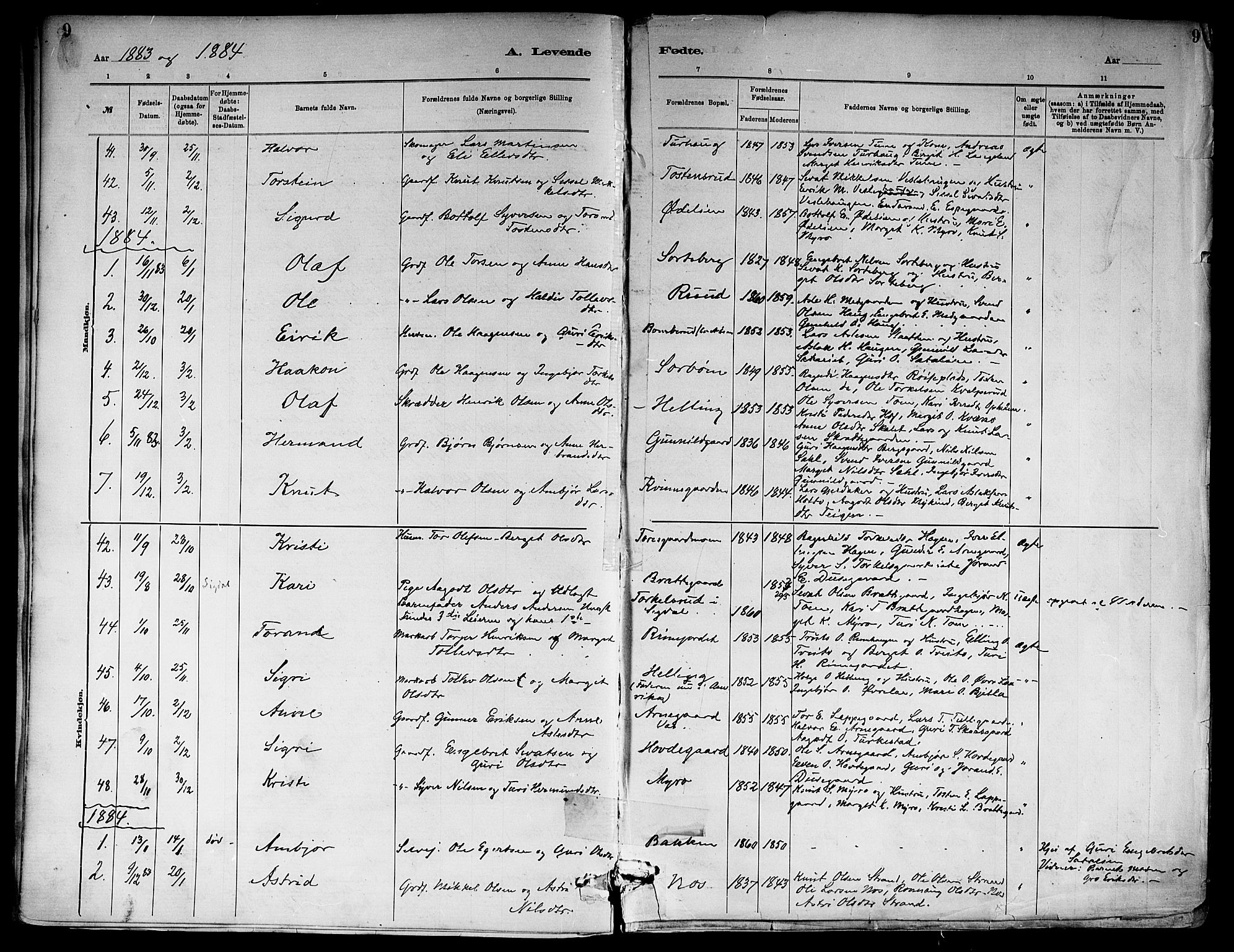 Ål kirkebøker, SAKO/A-249/F/Fa/L0008: Parish register (official) no. I 8, 1882-1896, p. 9