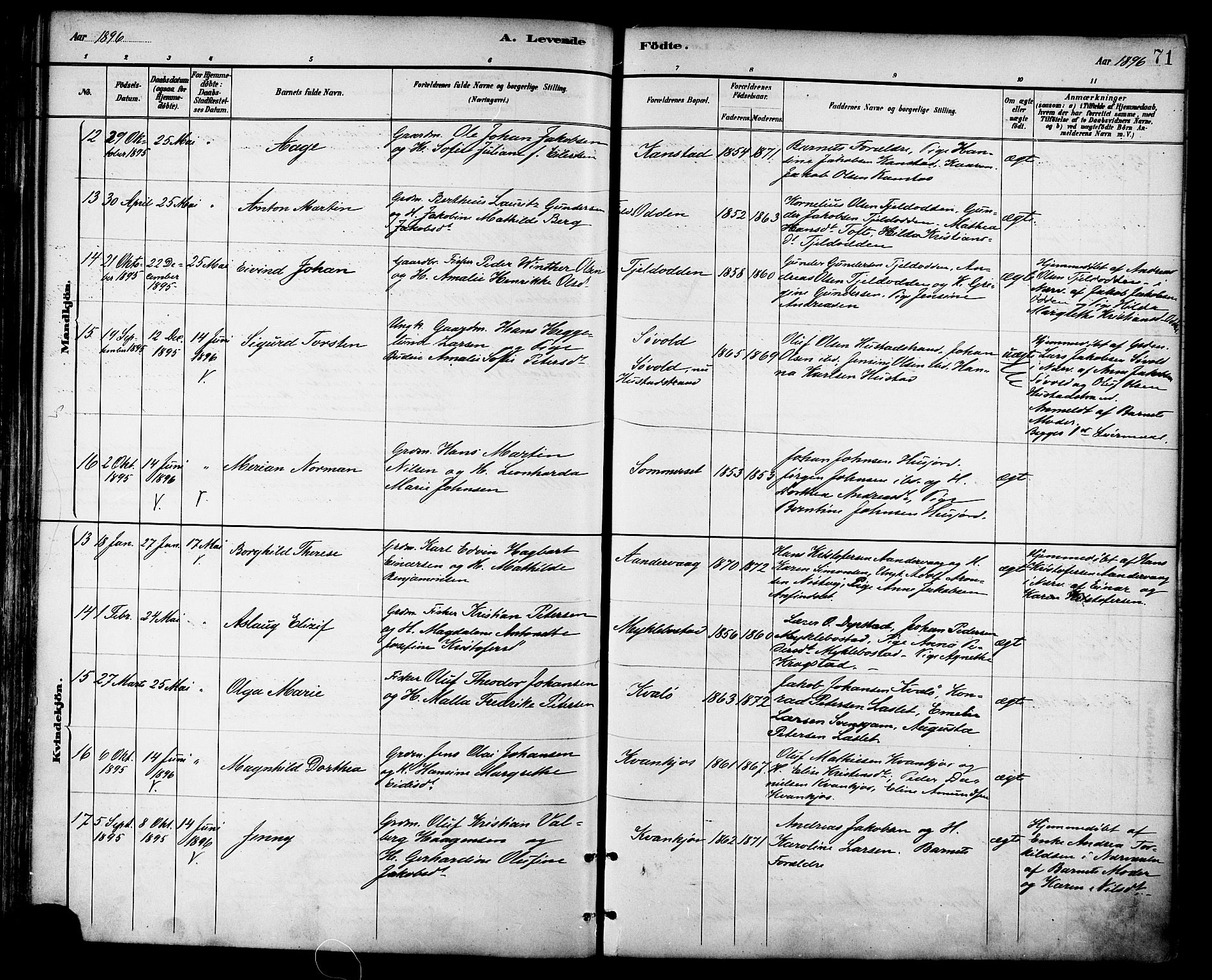 Ministerialprotokoller, klokkerbøker og fødselsregistre - Nordland, AV/SAT-A-1459/872/L1035: Parish register (official) no. 872A10, 1884-1896, p. 71