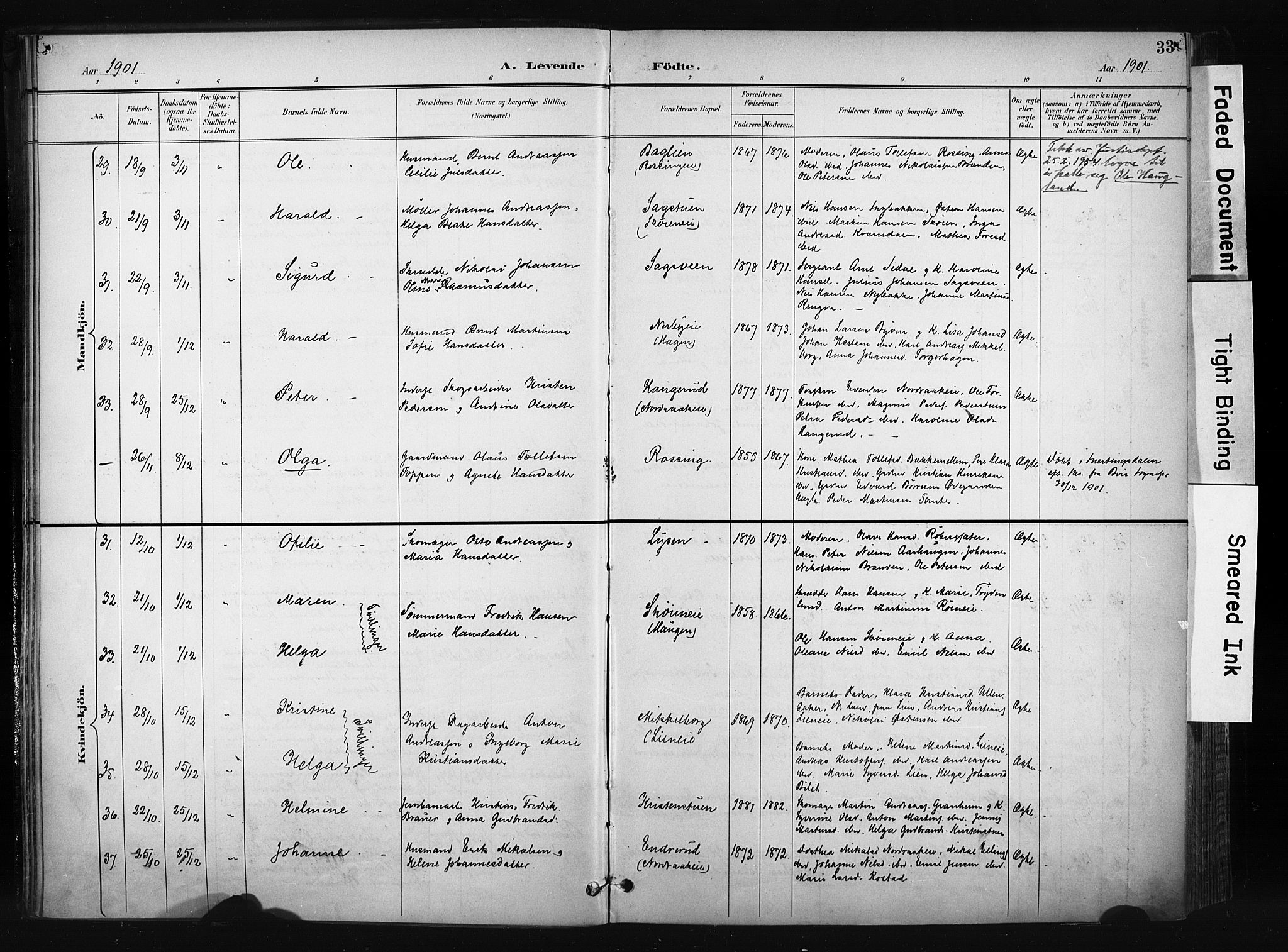 Søndre Land prestekontor, AV/SAH-PREST-122/K/L0004: Parish register (official) no. 4, 1895-1904, p. 33