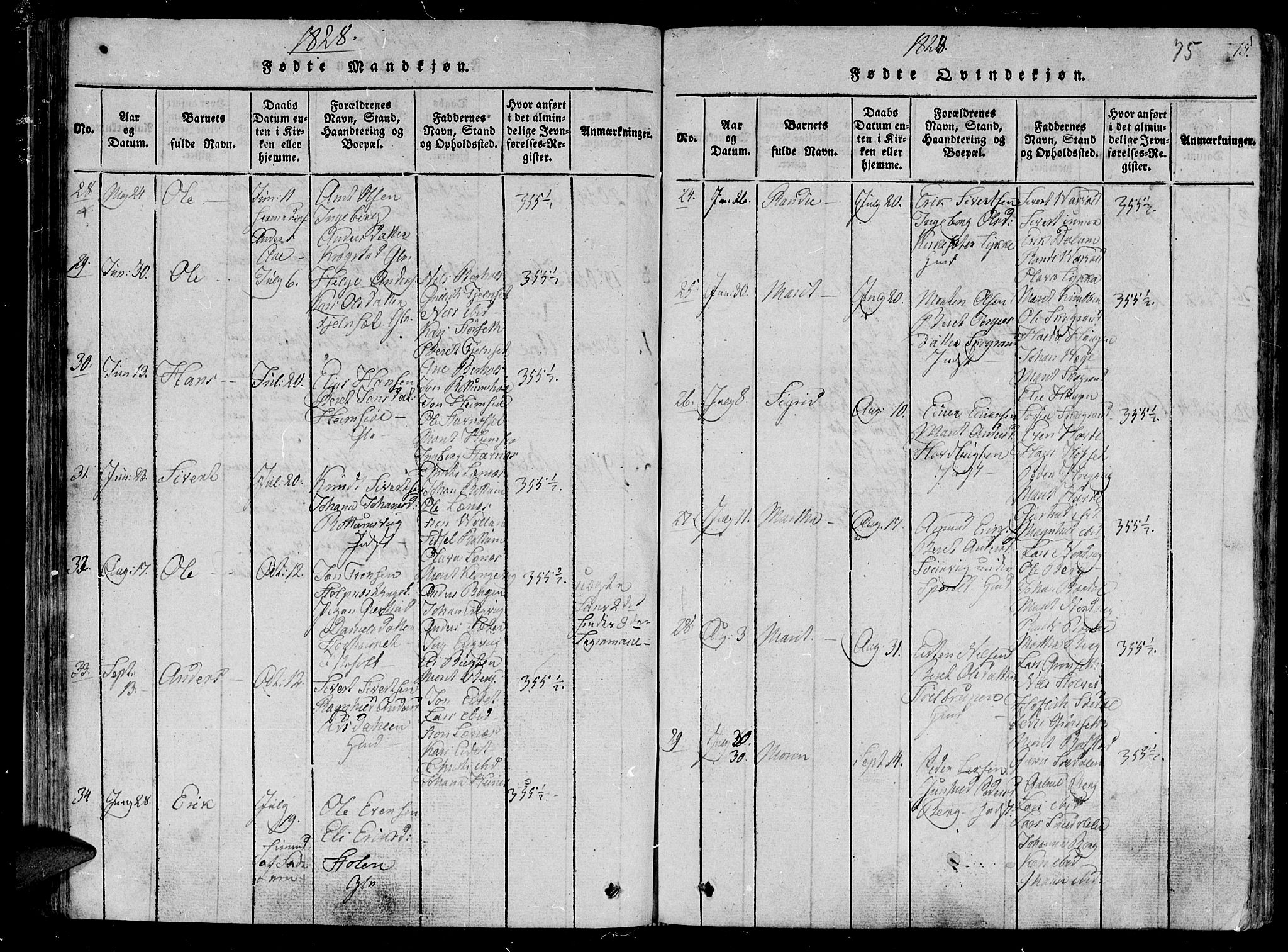 Ministerialprotokoller, klokkerbøker og fødselsregistre - Sør-Trøndelag, SAT/A-1456/630/L0491: Parish register (official) no. 630A04, 1818-1830, p. 75