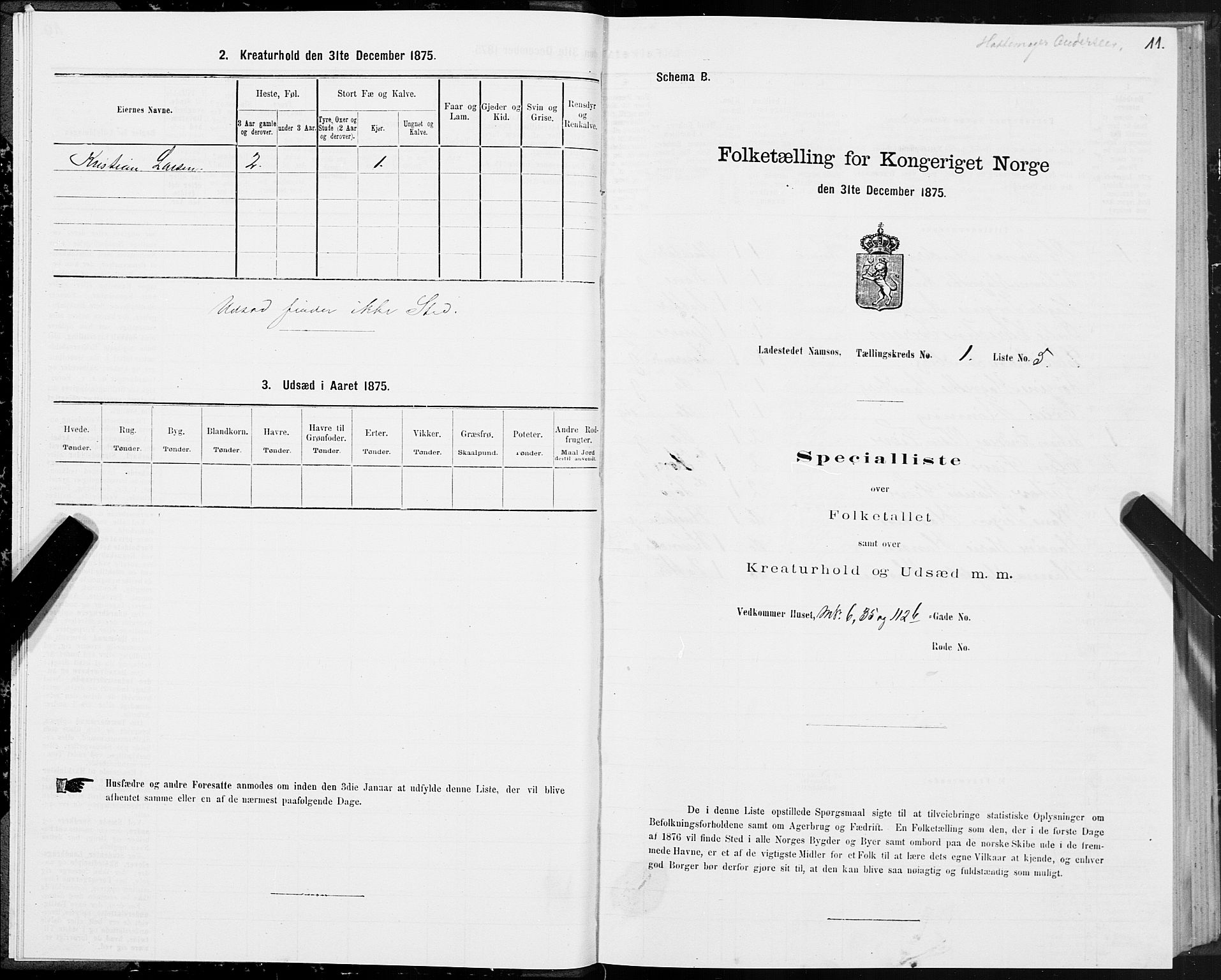 SAT, 1875 census for 1703B Namsos/Namsos, 1875, p. 11