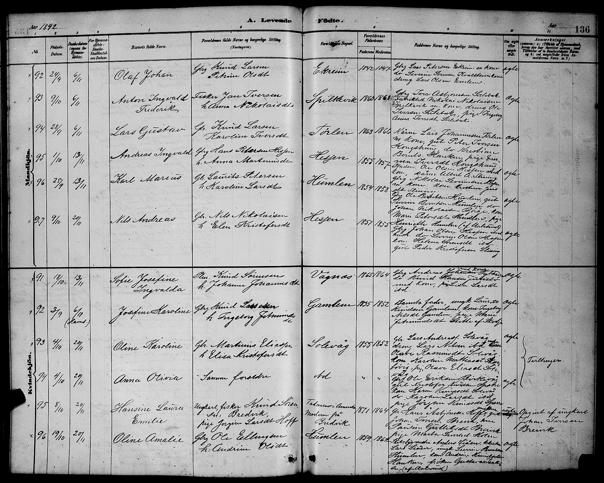 Ministerialprotokoller, klokkerbøker og fødselsregistre - Møre og Romsdal, AV/SAT-A-1454/528/L0431: Parish register (copy) no. 528C12, 1885-1898, p. 136