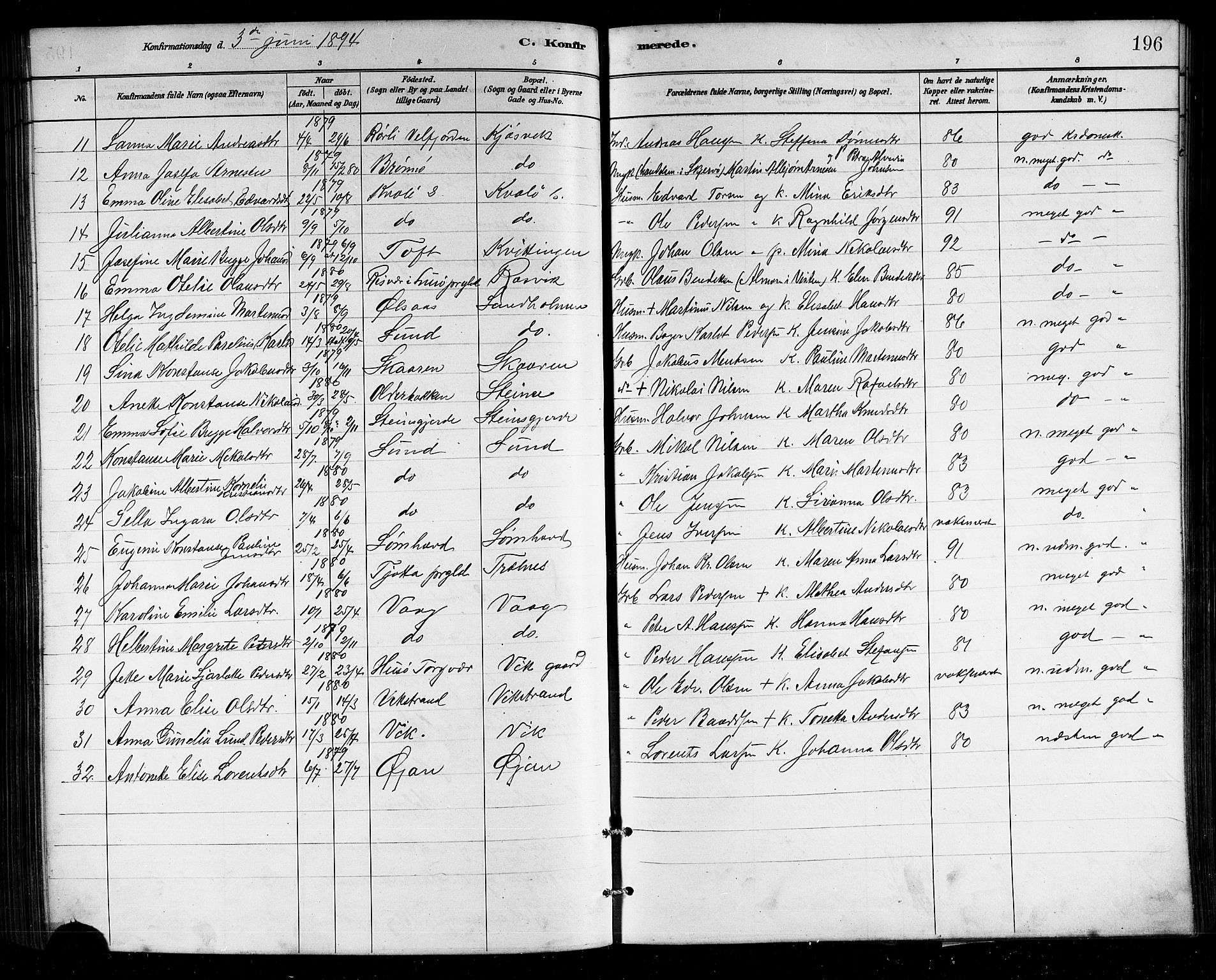 Ministerialprotokoller, klokkerbøker og fødselsregistre - Nordland, SAT/A-1459/812/L0188: Parish register (copy) no. 812C06, 1884-1912, p. 196