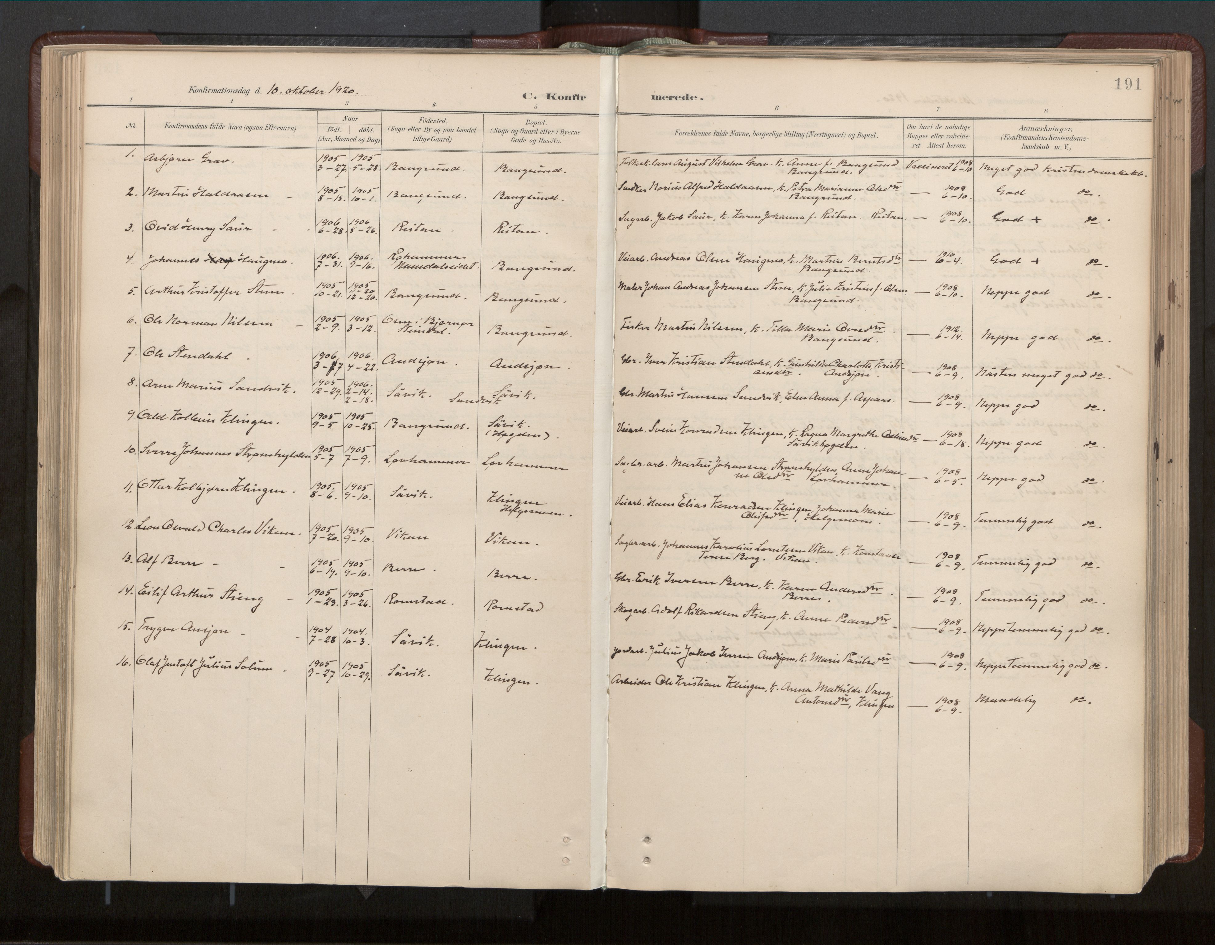 Ministerialprotokoller, klokkerbøker og fødselsregistre - Nord-Trøndelag, AV/SAT-A-1458/770/L0589: Parish register (official) no. 770A03, 1887-1929, p. 191