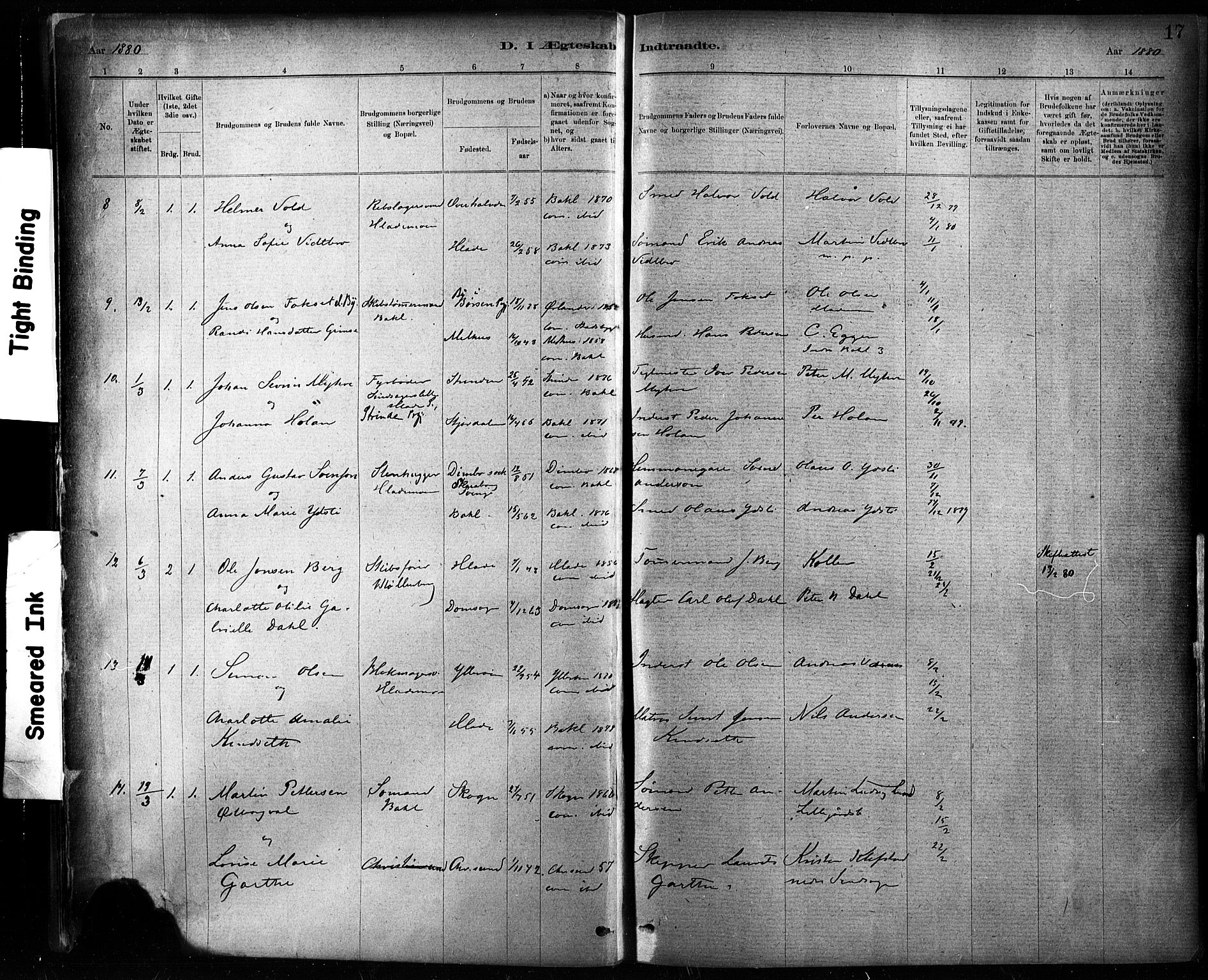 Ministerialprotokoller, klokkerbøker og fødselsregistre - Sør-Trøndelag, SAT/A-1456/604/L0189: Parish register (official) no. 604A10, 1878-1892, p. 17