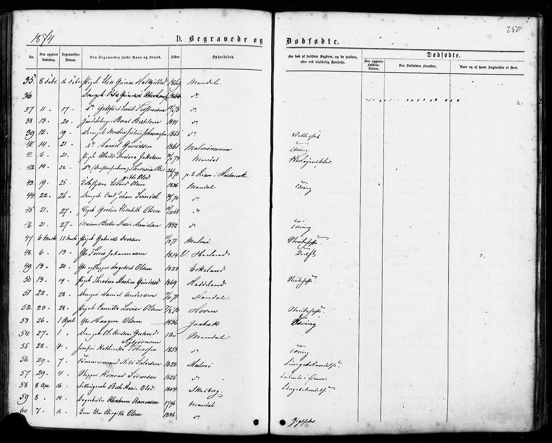 Mandal sokneprestkontor, AV/SAK-1111-0030/F/Fa/Faa/L0015: Parish register (official) no. A 15, 1873-1879, p. 250