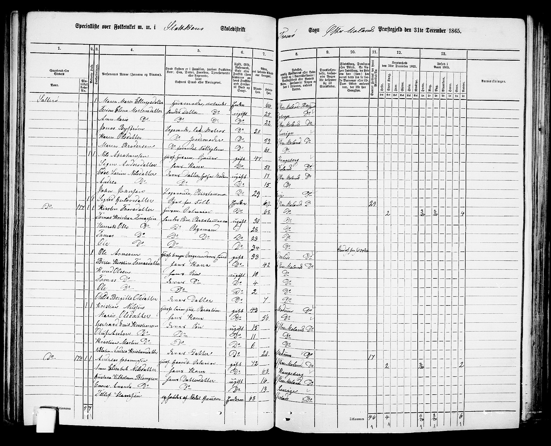 RA, 1865 census for Austre Moland, 1865, p. 118