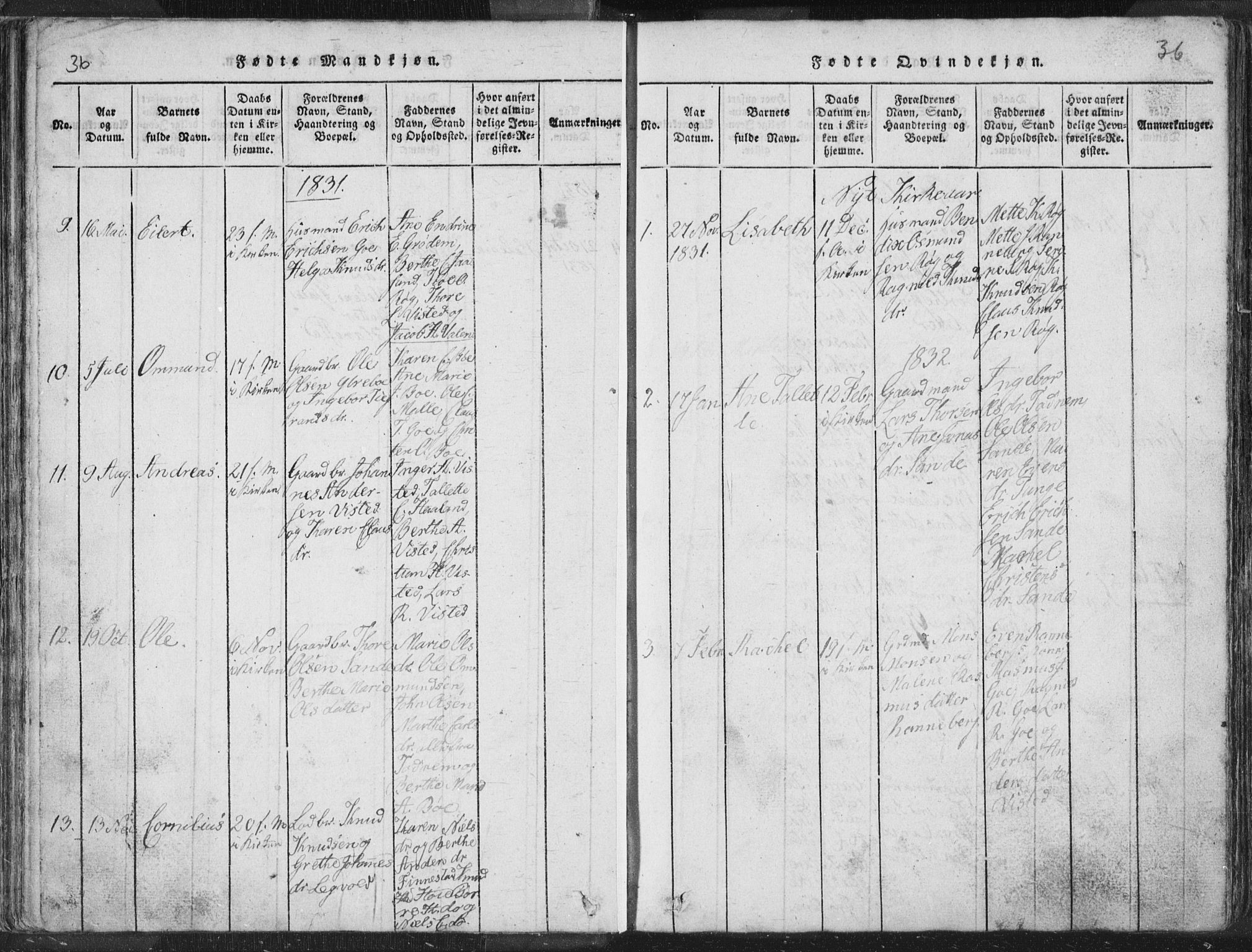 Hetland sokneprestkontor, SAST/A-101826/30/30BA/L0001: Parish register (official) no. A 1, 1816-1856, p. 36