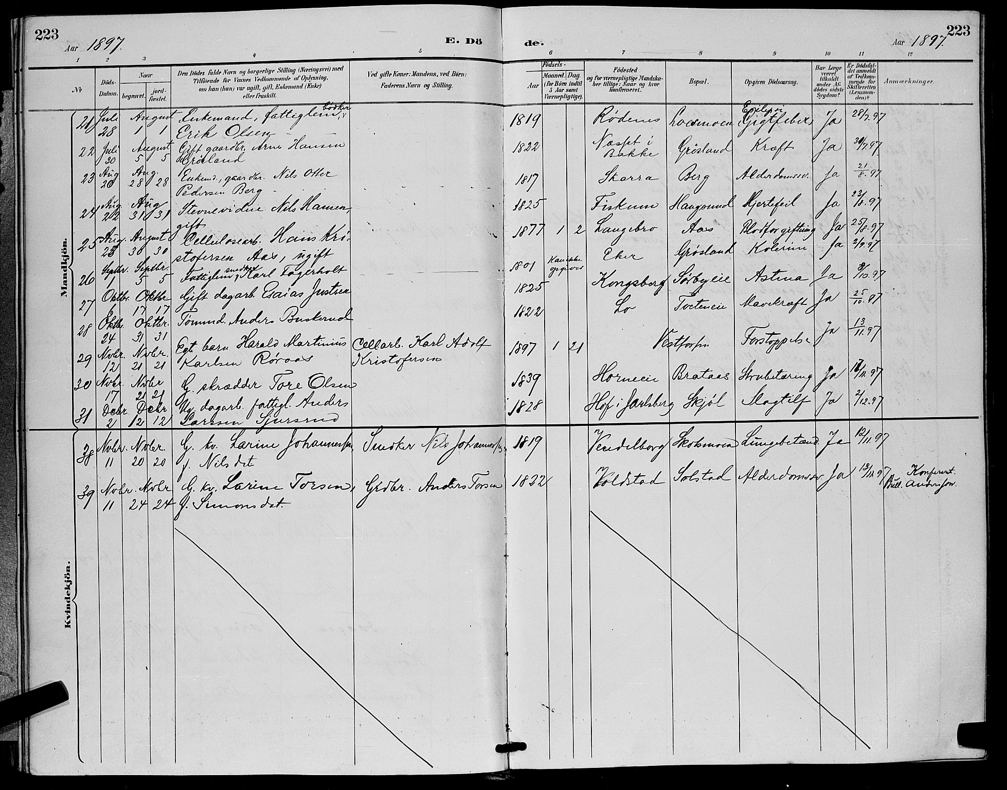 Eiker kirkebøker, SAKO/A-4/G/Ga/L0007: Parish register (copy) no. I 7, 1893-1902, p. 223