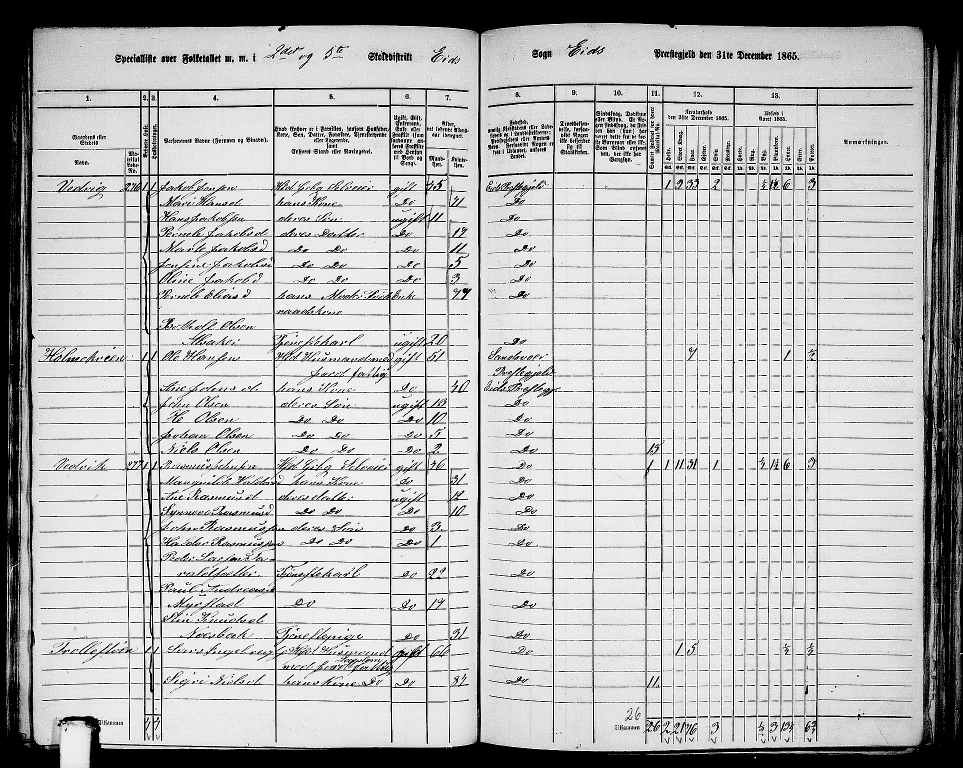 RA, 1865 census for Eid, 1865, p. 113