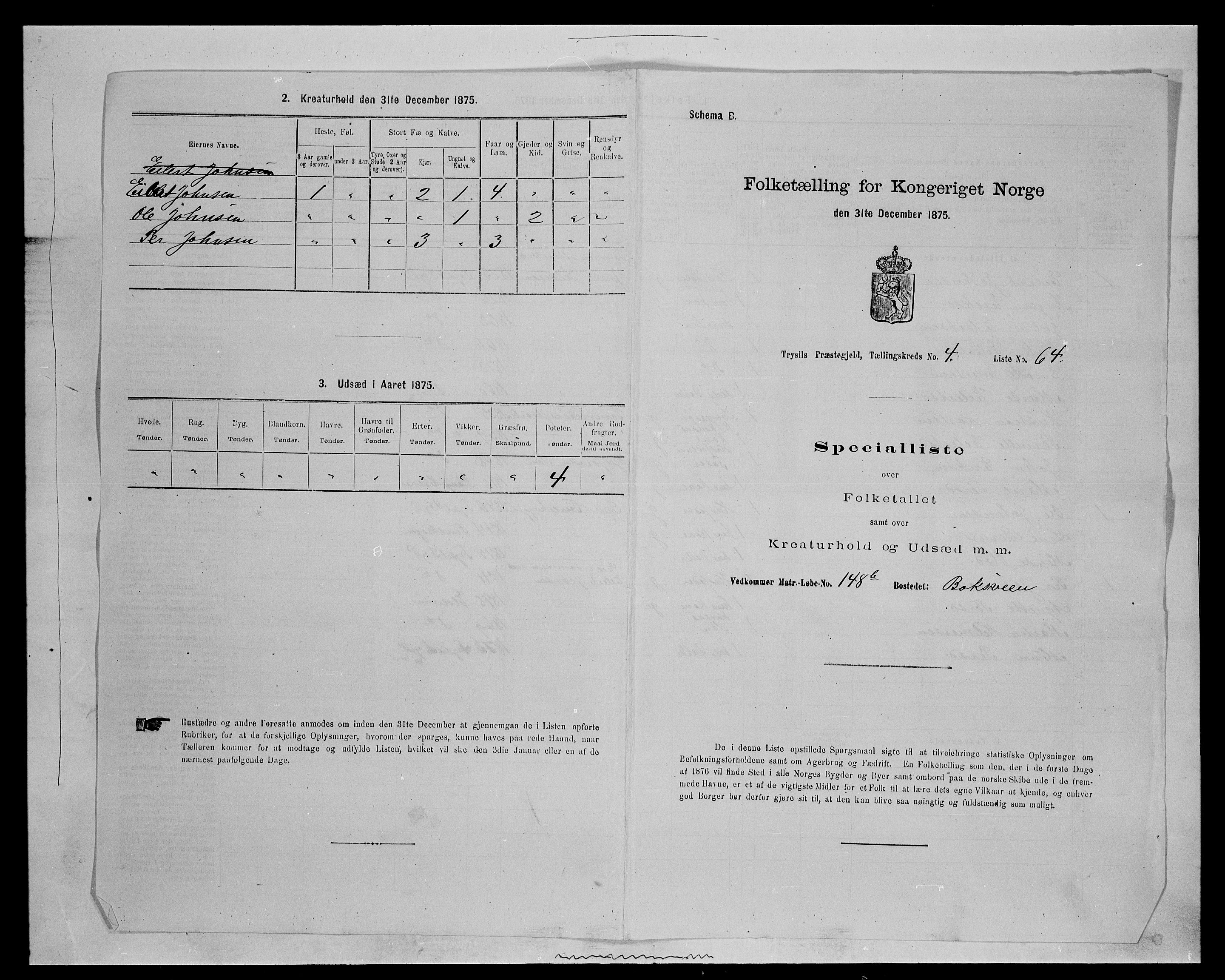 SAH, 1875 census for 0428P Trysil, 1875, p. 667