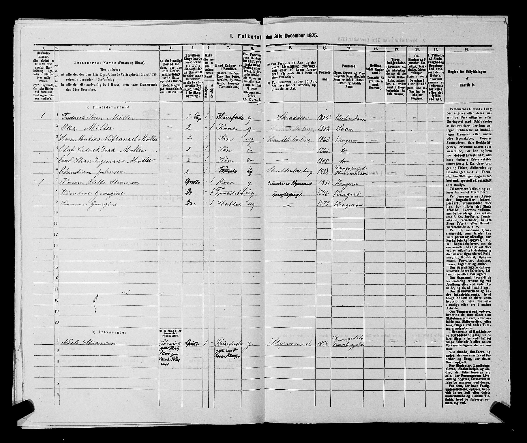 SAKO, 1875 census for 0801P Kragerø, 1875, p. 225