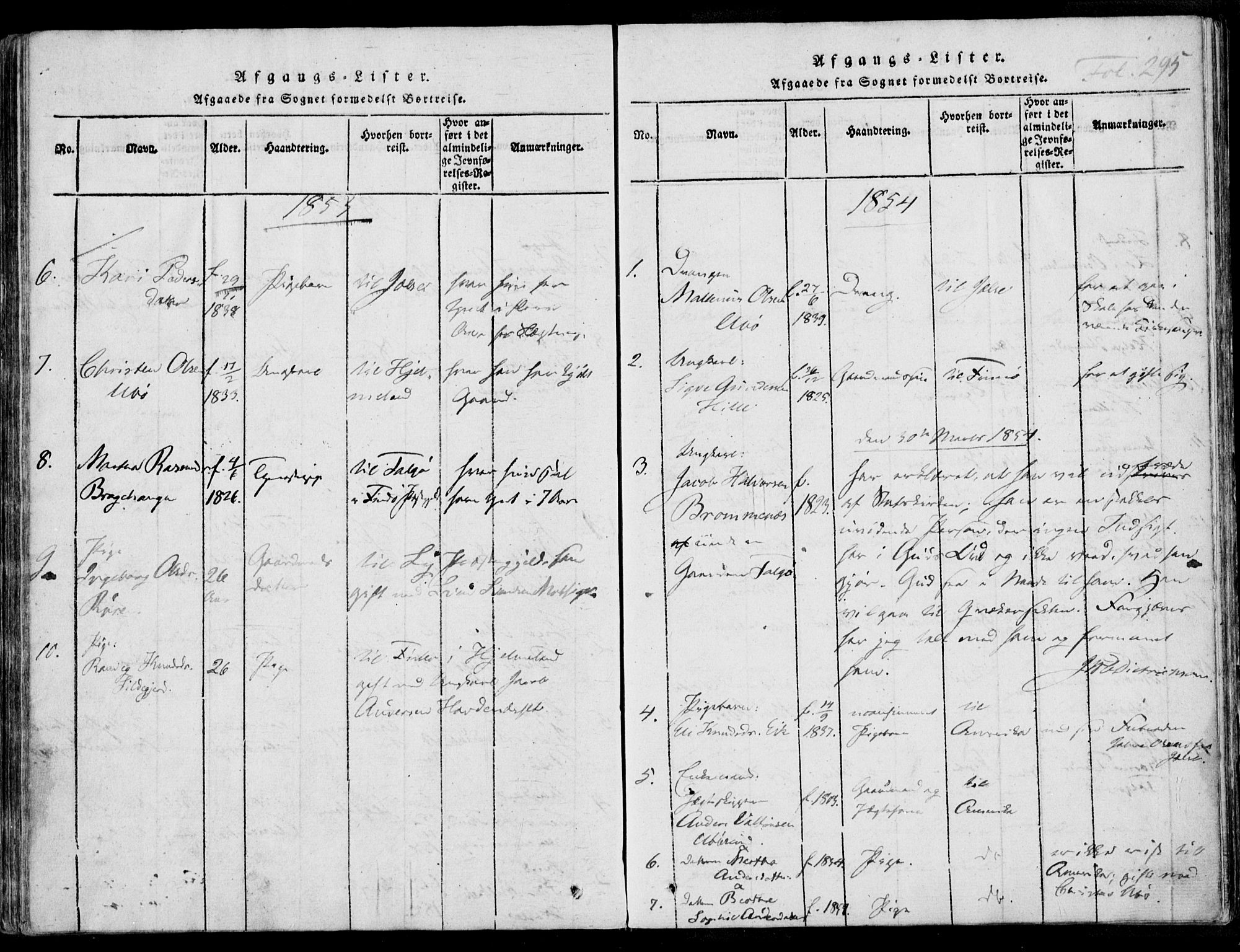 Nedstrand sokneprestkontor, AV/SAST-A-101841/01/IV: Parish register (official) no. A 7, 1816-1870, p. 295