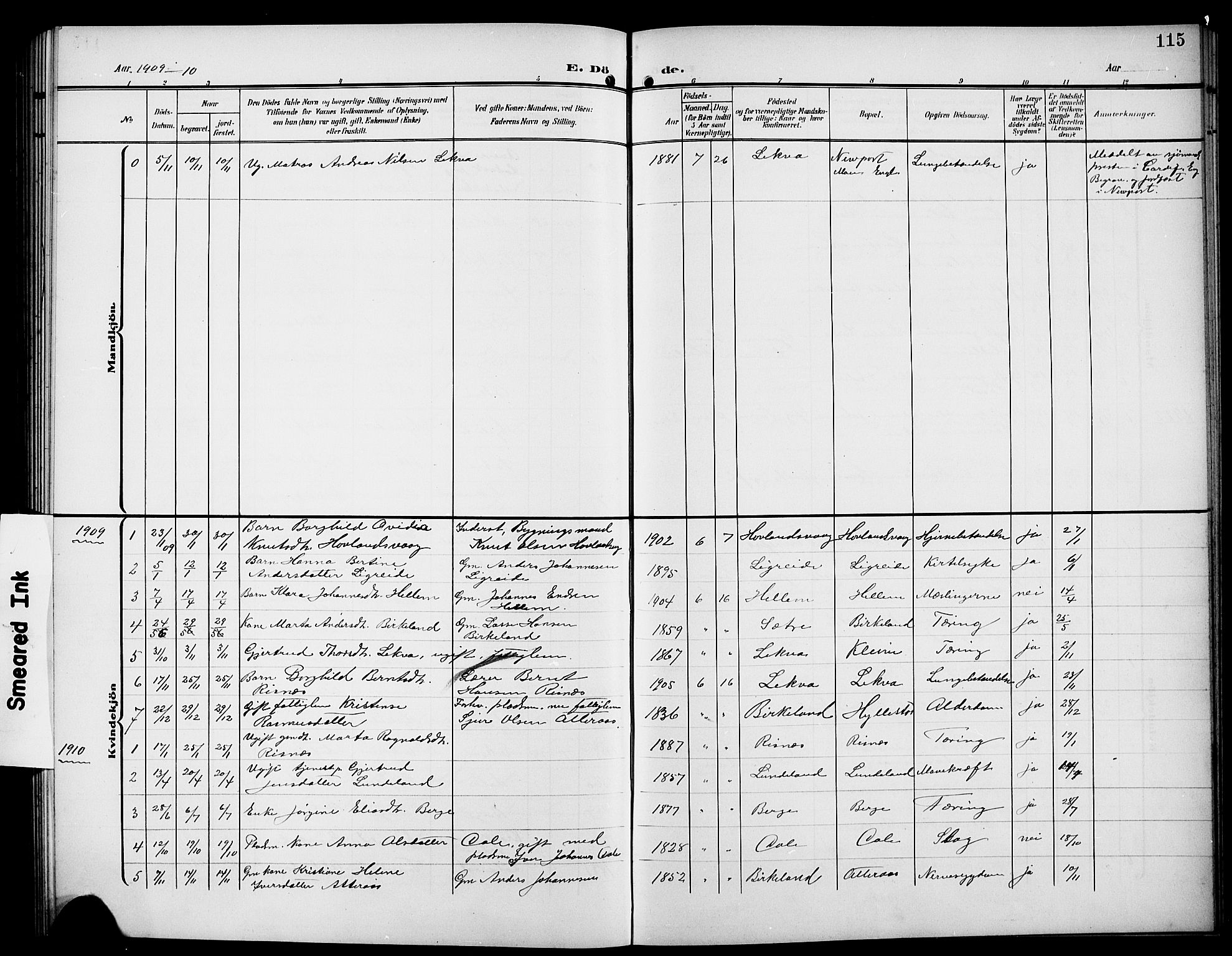 Hyllestad sokneprestembete, SAB/A-80401: Parish register (copy) no. A 3, 1906-1925, p. 115