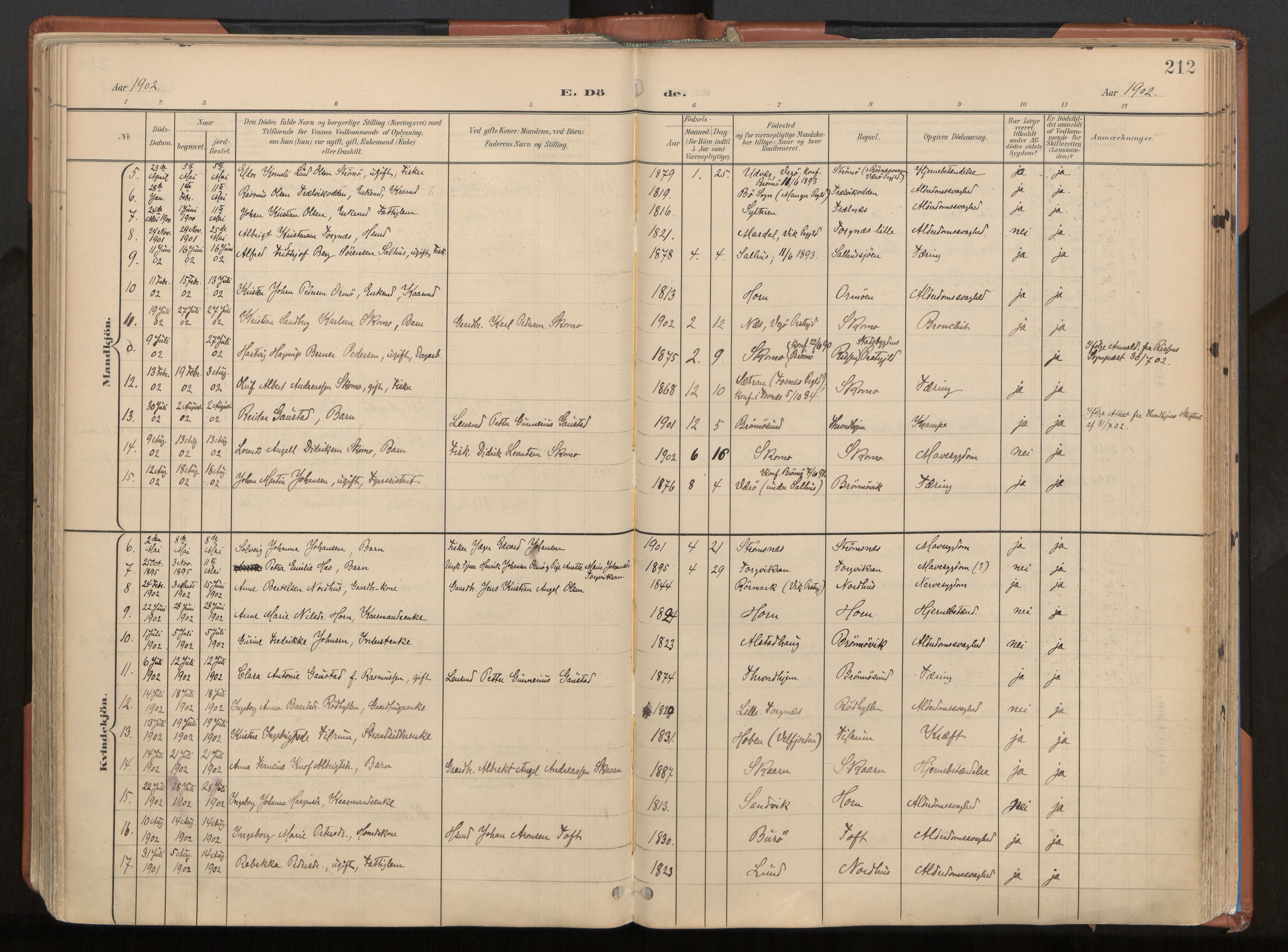 Ministerialprotokoller, klokkerbøker og fødselsregistre - Nordland, SAT/A-1459/813/L0201: Parish register (official) no. 813A11, 1901-1918, p. 212