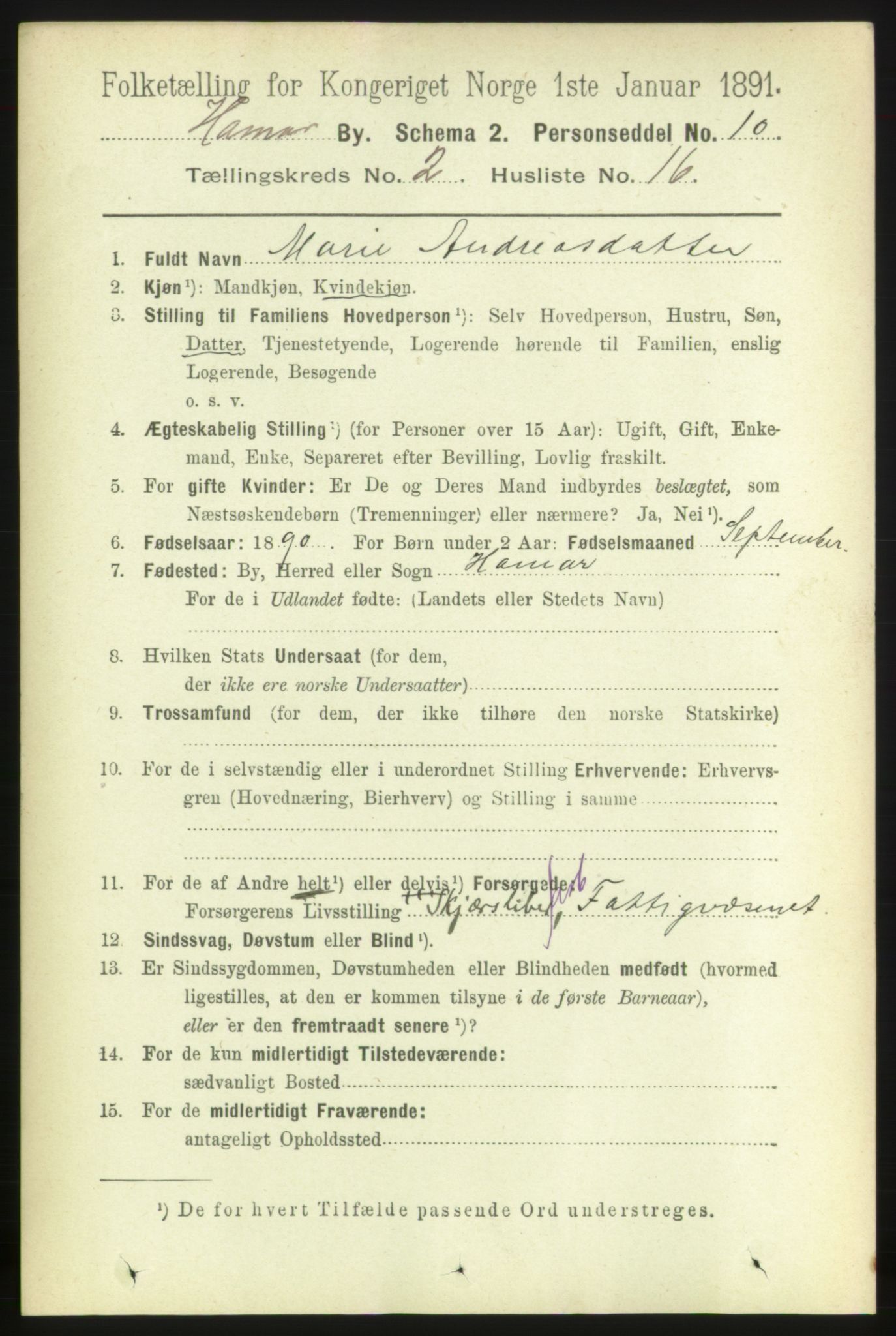 RA, 1891 census for 0401 Hamar, 1891, p. 1207