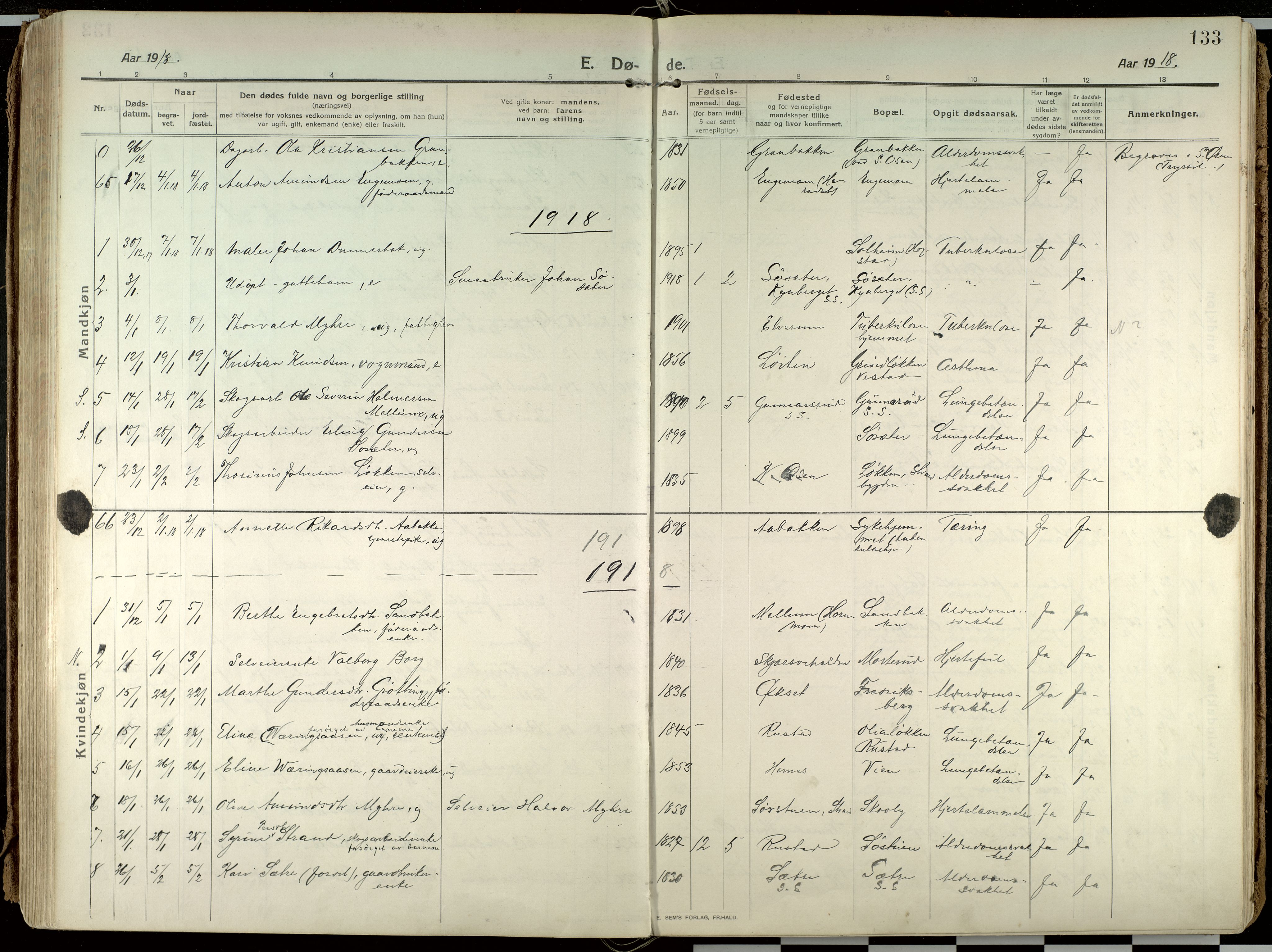 Elverum prestekontor, AV/SAH-PREST-044/H/Ha/Haa/L0021: Parish register (official) no. 21, 1913-1928, p. 133