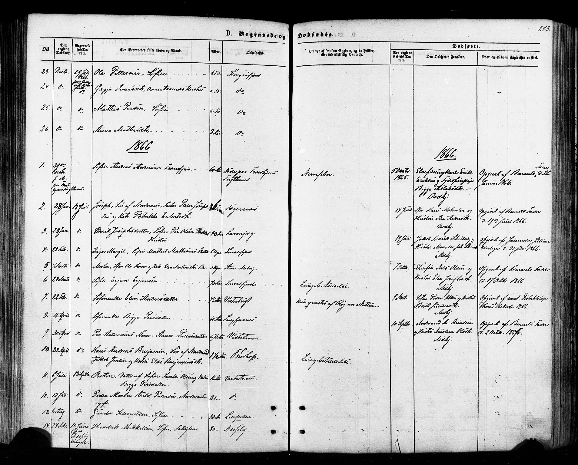 Tana sokneprestkontor, SATØ/S-1334/H/Ha/L0002kirke: Parish register (official) no. 2 /1, 1861-1877, p. 243