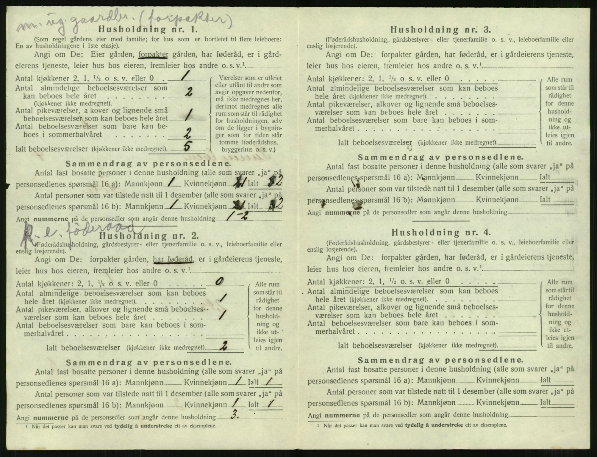 SAT, 1920 census for Sunnylven, 1920, p. 257