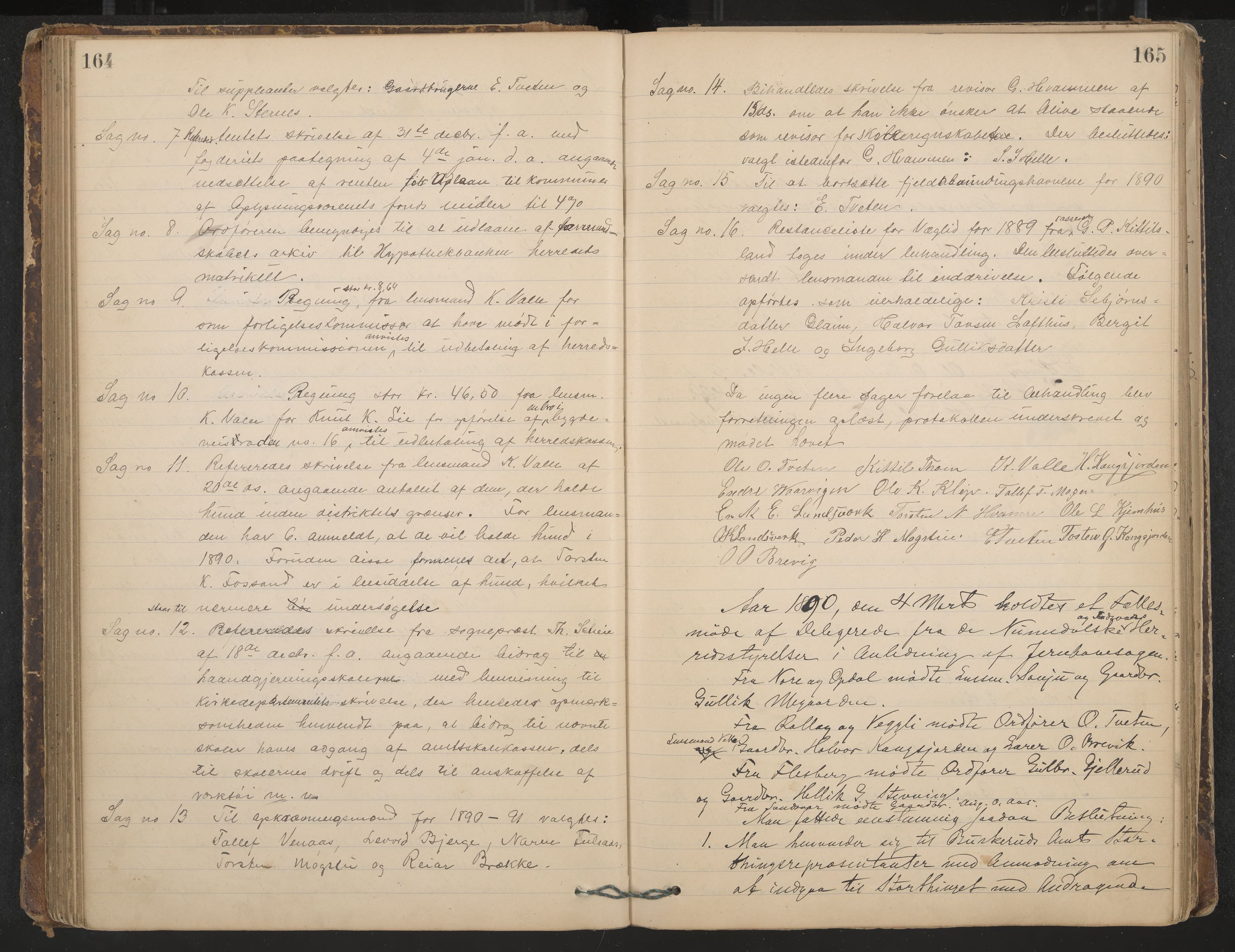 Rollag formannskap og sentraladministrasjon, IKAK/0632021-2/A/Aa/L0003: Møtebok, 1884-1897, p. 164-165