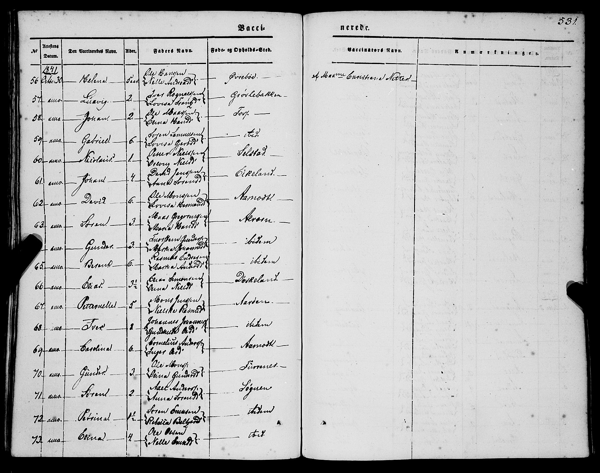 Gaular sokneprestembete, SAB/A-80001/H/Haa: Parish register (official) no. A 4II, 1841-1859, p. 531