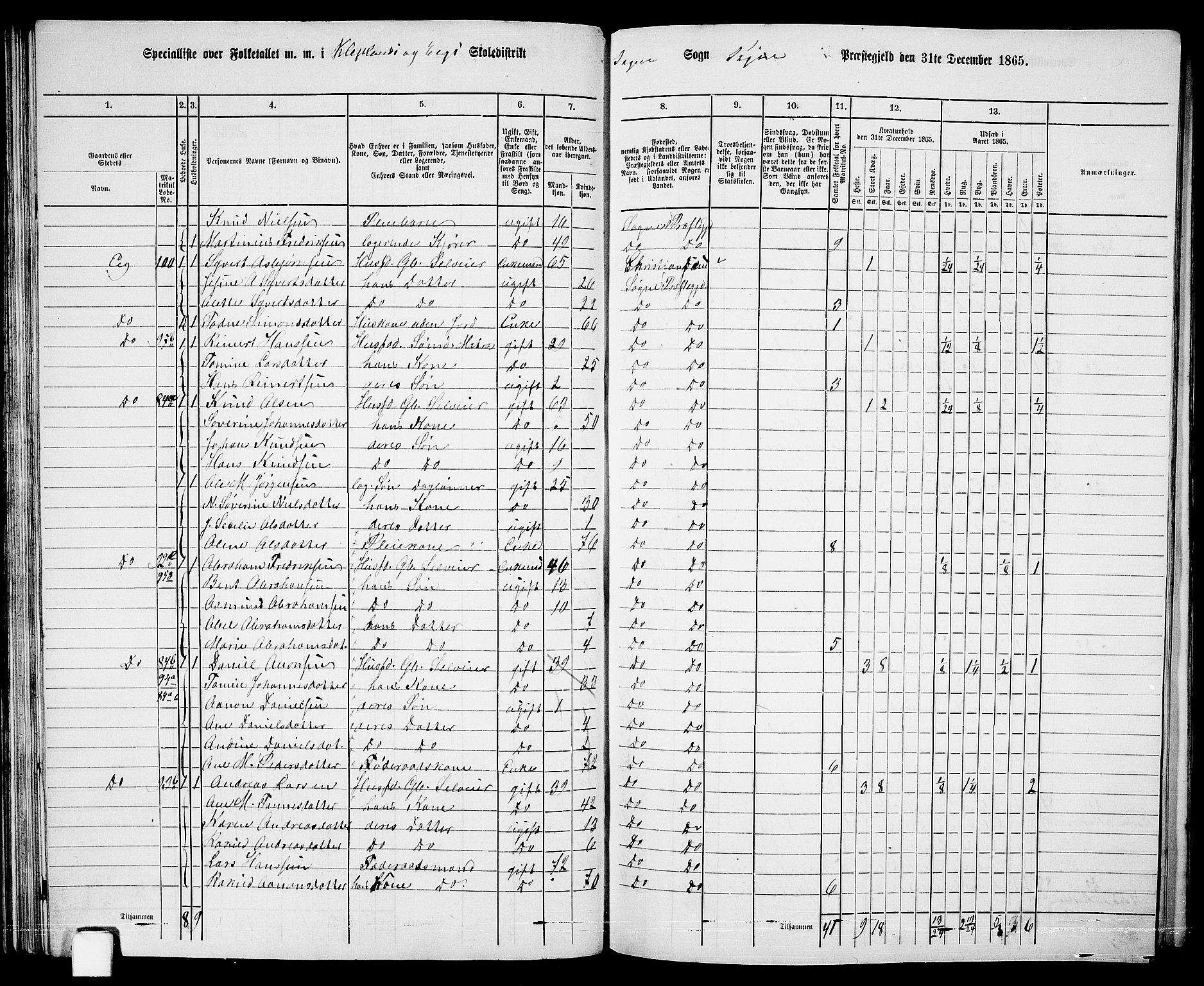 RA, 1865 census for Søgne, 1865, p. 62