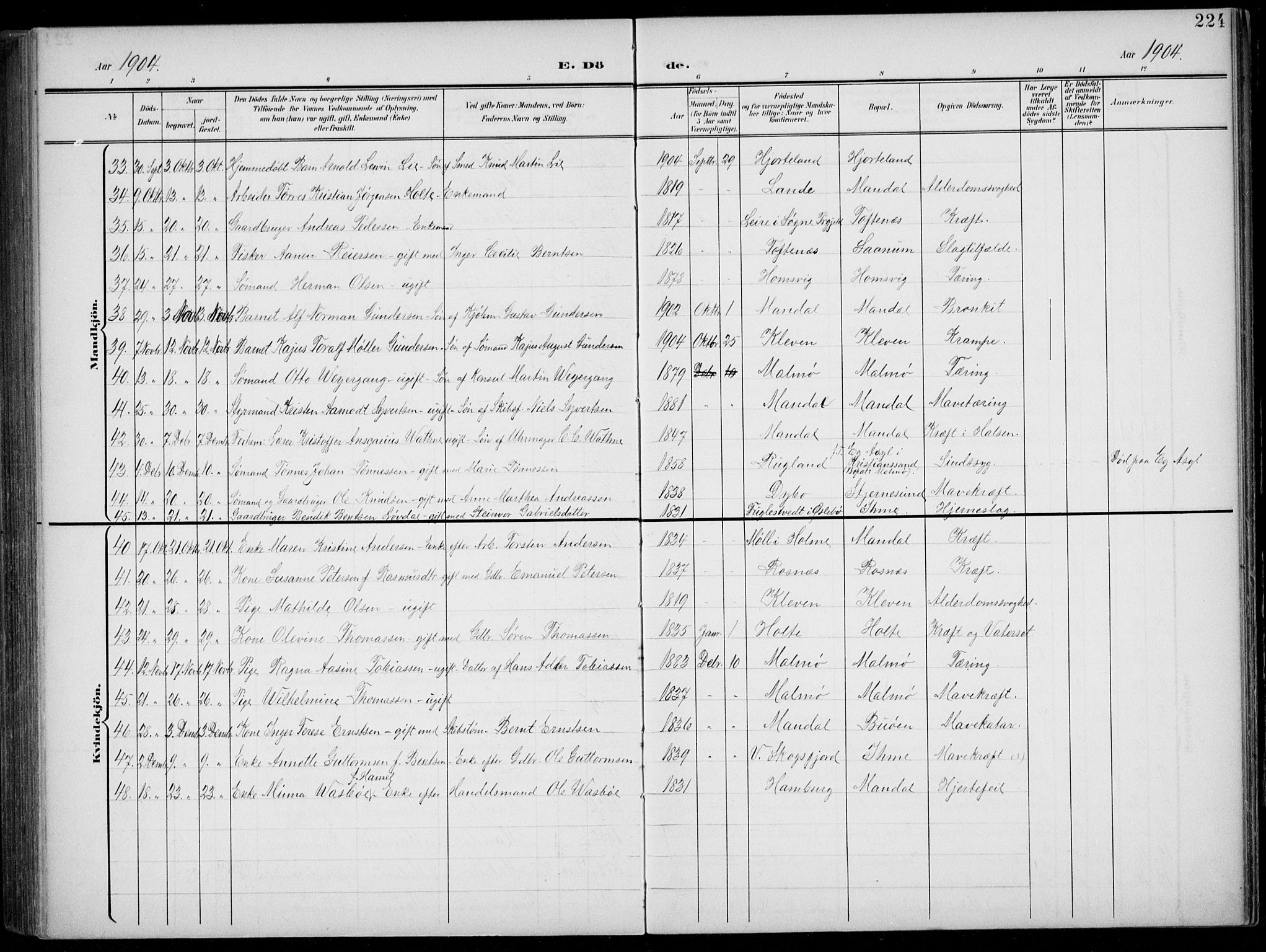 Mandal sokneprestkontor, AV/SAK-1111-0030/F/Fb/Fba/L0012: Parish register (copy) no. B 6, 1899-1918, p. 224