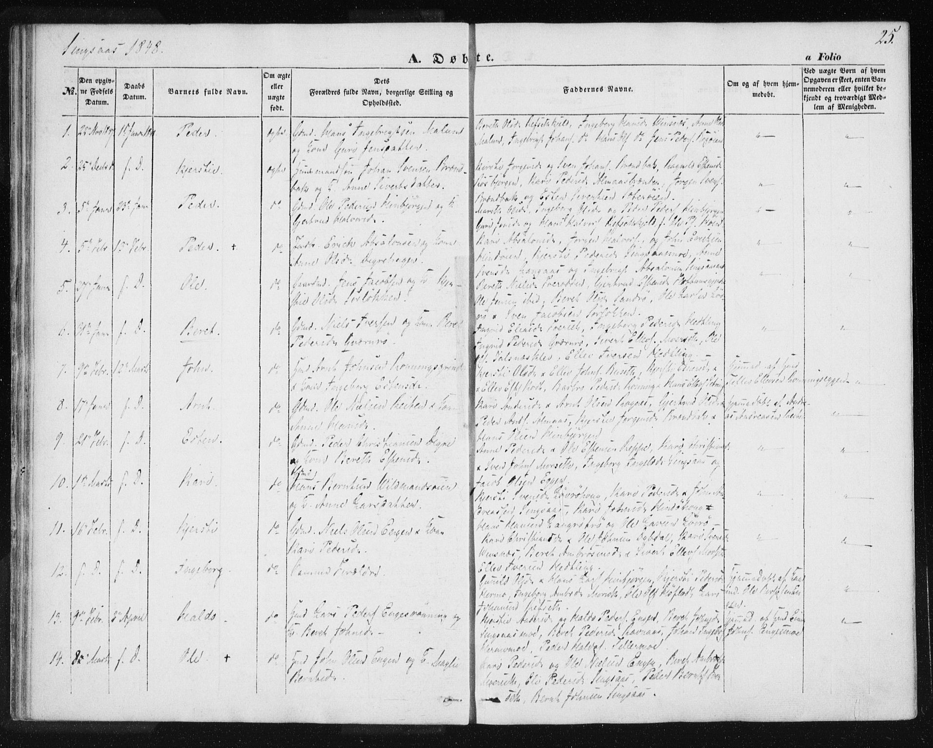 Ministerialprotokoller, klokkerbøker og fødselsregistre - Sør-Trøndelag, SAT/A-1456/685/L0964: Parish register (official) no. 685A06 /2, 1846-1859, p. 25