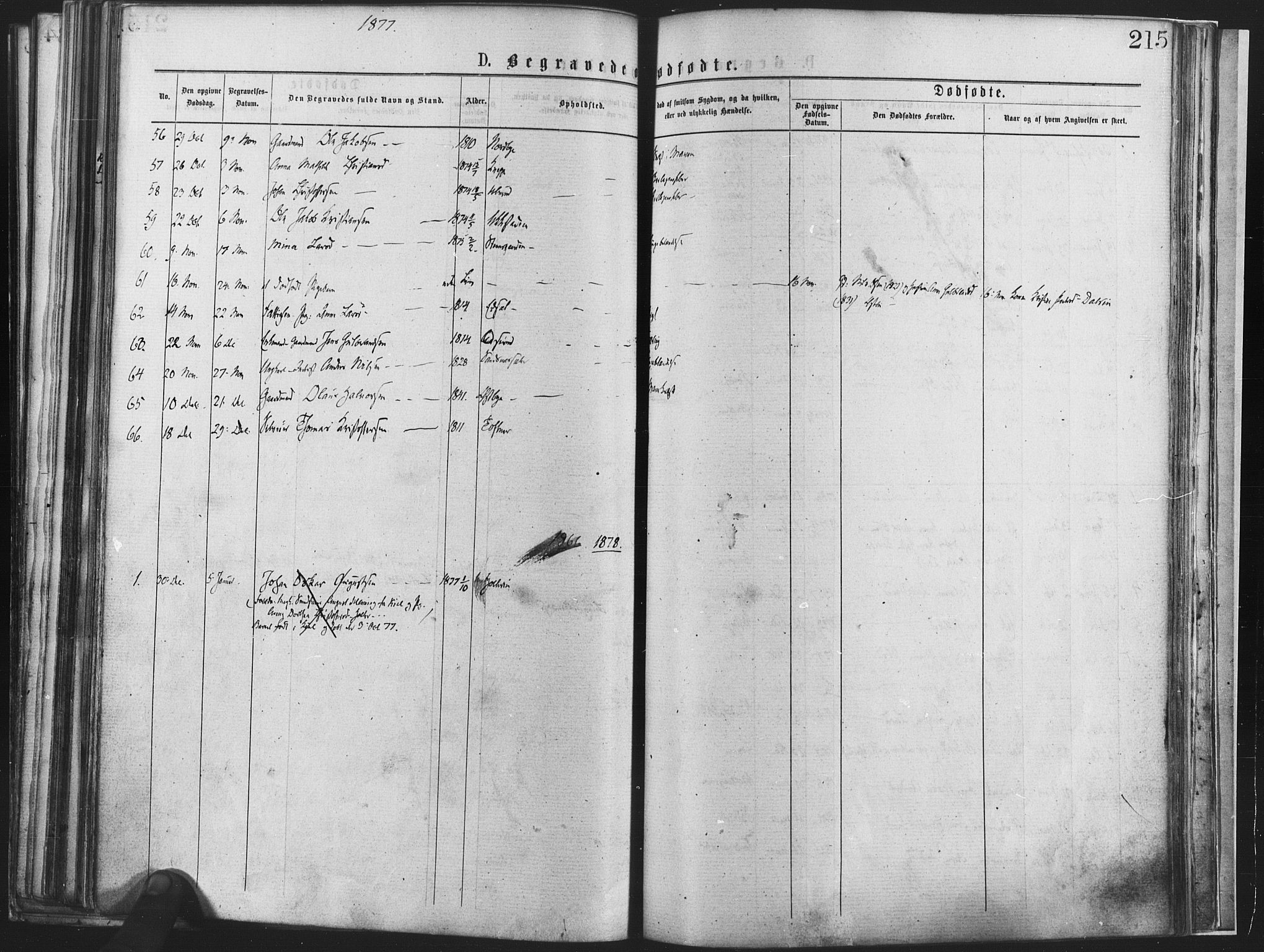 Nannestad prestekontor Kirkebøker, SAO/A-10414a/F/Fa/L0013: Parish register (official) no. I 13, 1873-1880, p. 215