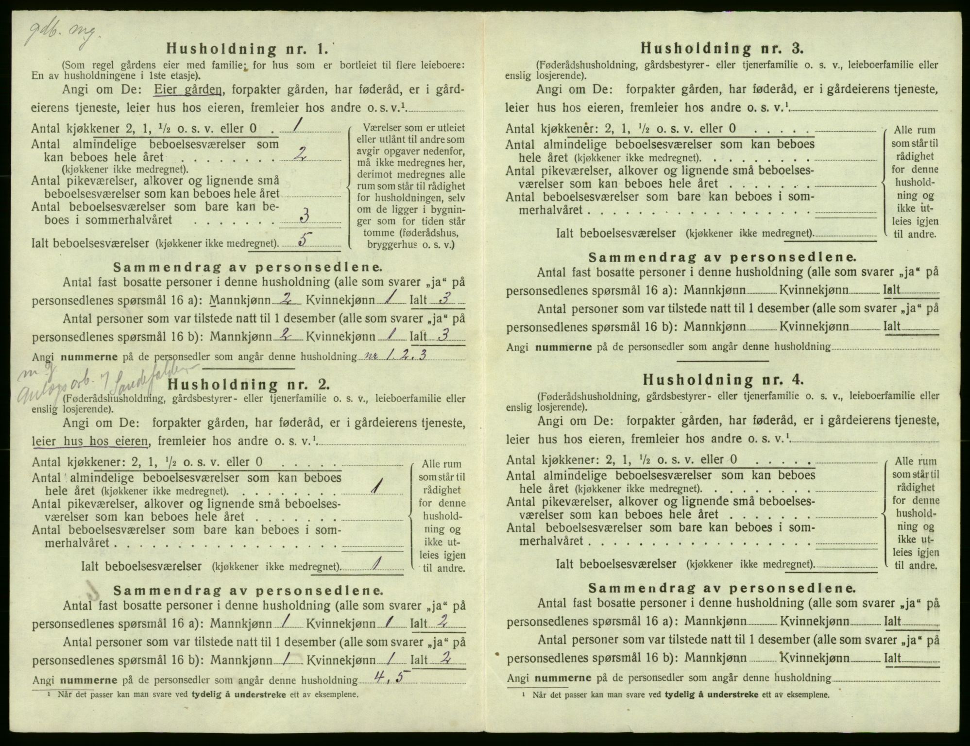 SAB, 1920 census for Røldal, 1920, p. 16