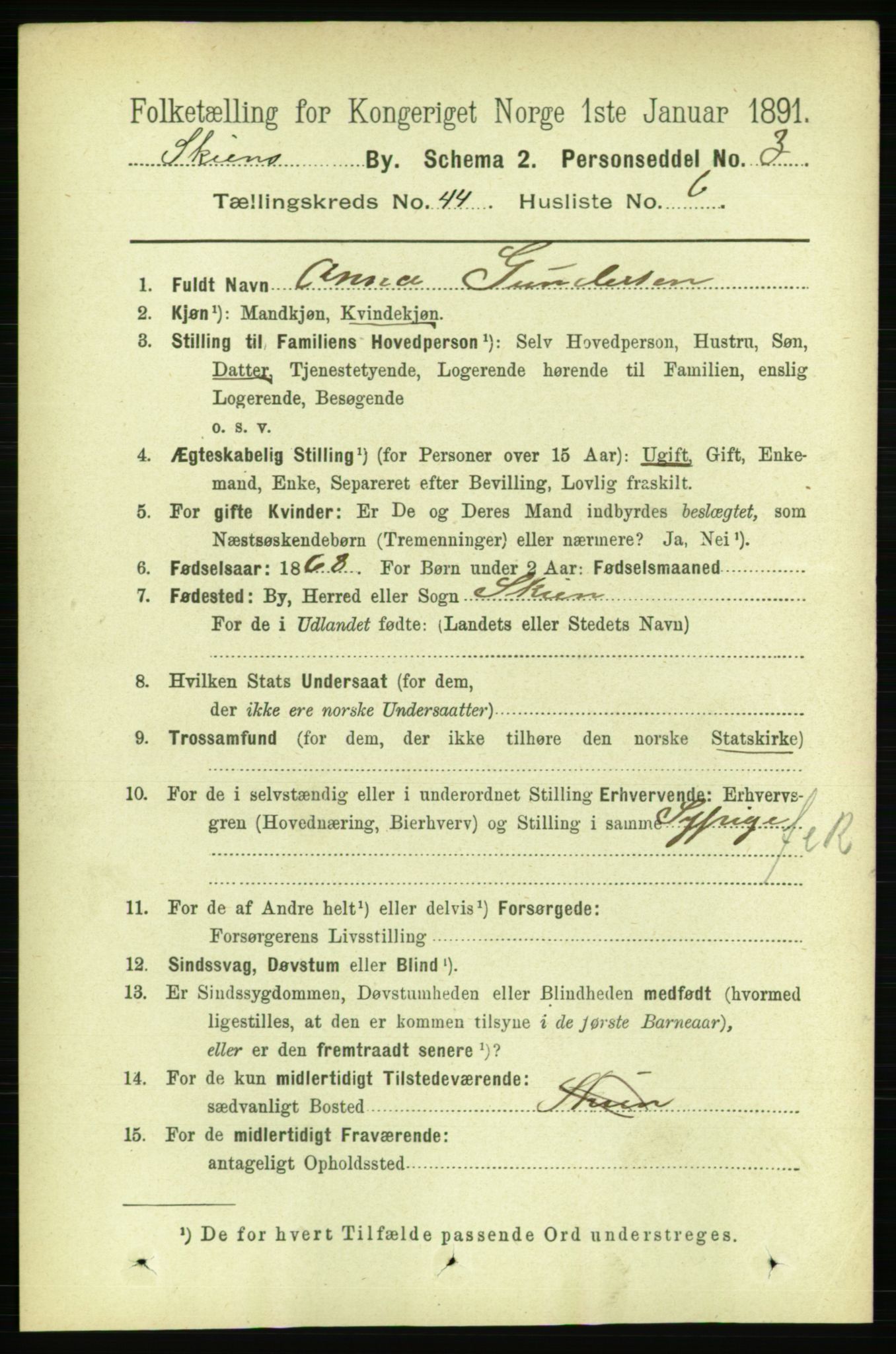 RA, 1891 census for 0806 Skien, 1891, p. 8820