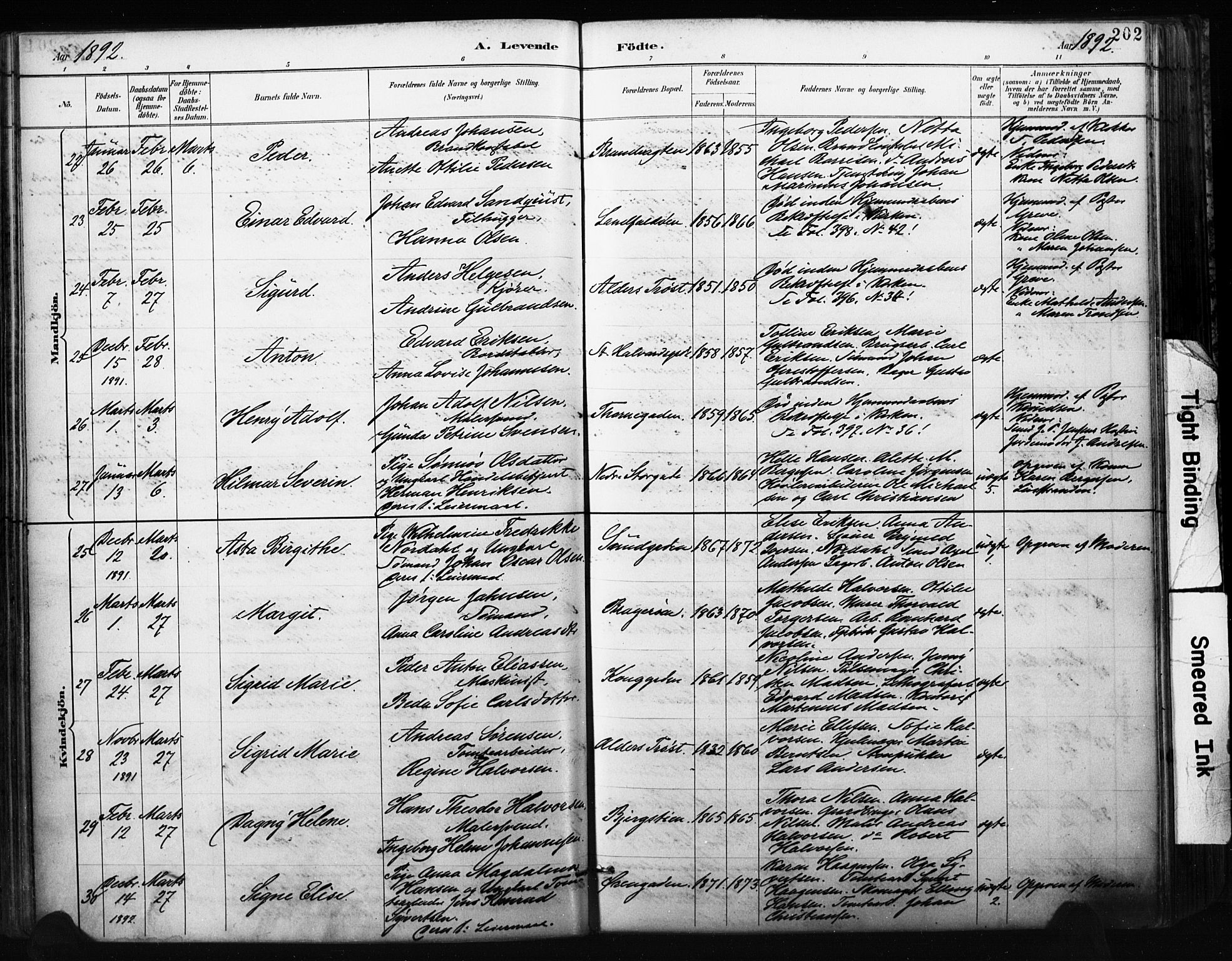 Bragernes kirkebøker, AV/SAKO-A-6/F/Fb/L0007: Parish register (official) no. II 7, 1885-1893, p. 202