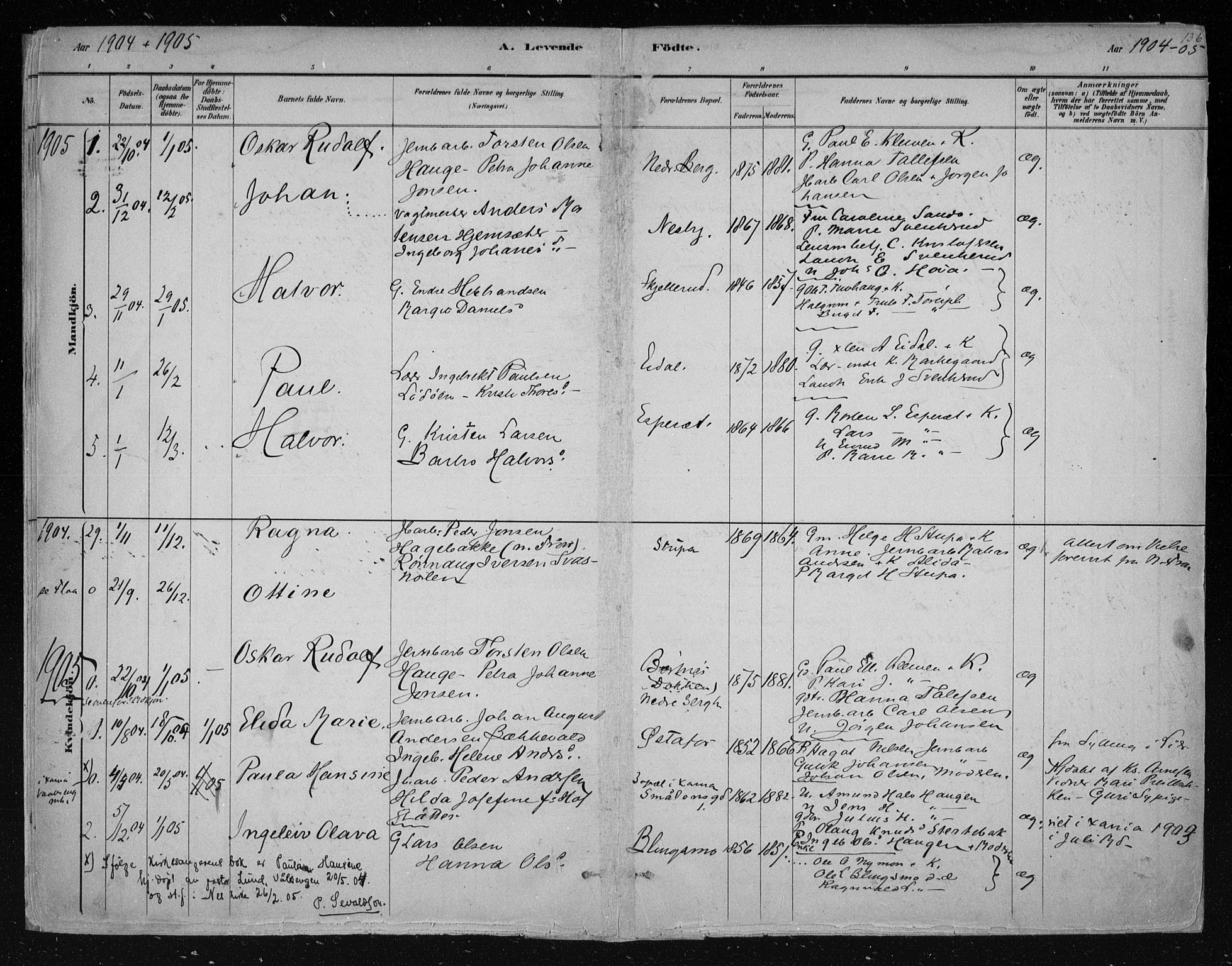 Nes kirkebøker, SAKO/A-236/F/Fa/L0011: Parish register (official) no. 11, 1881-1912, p. 136