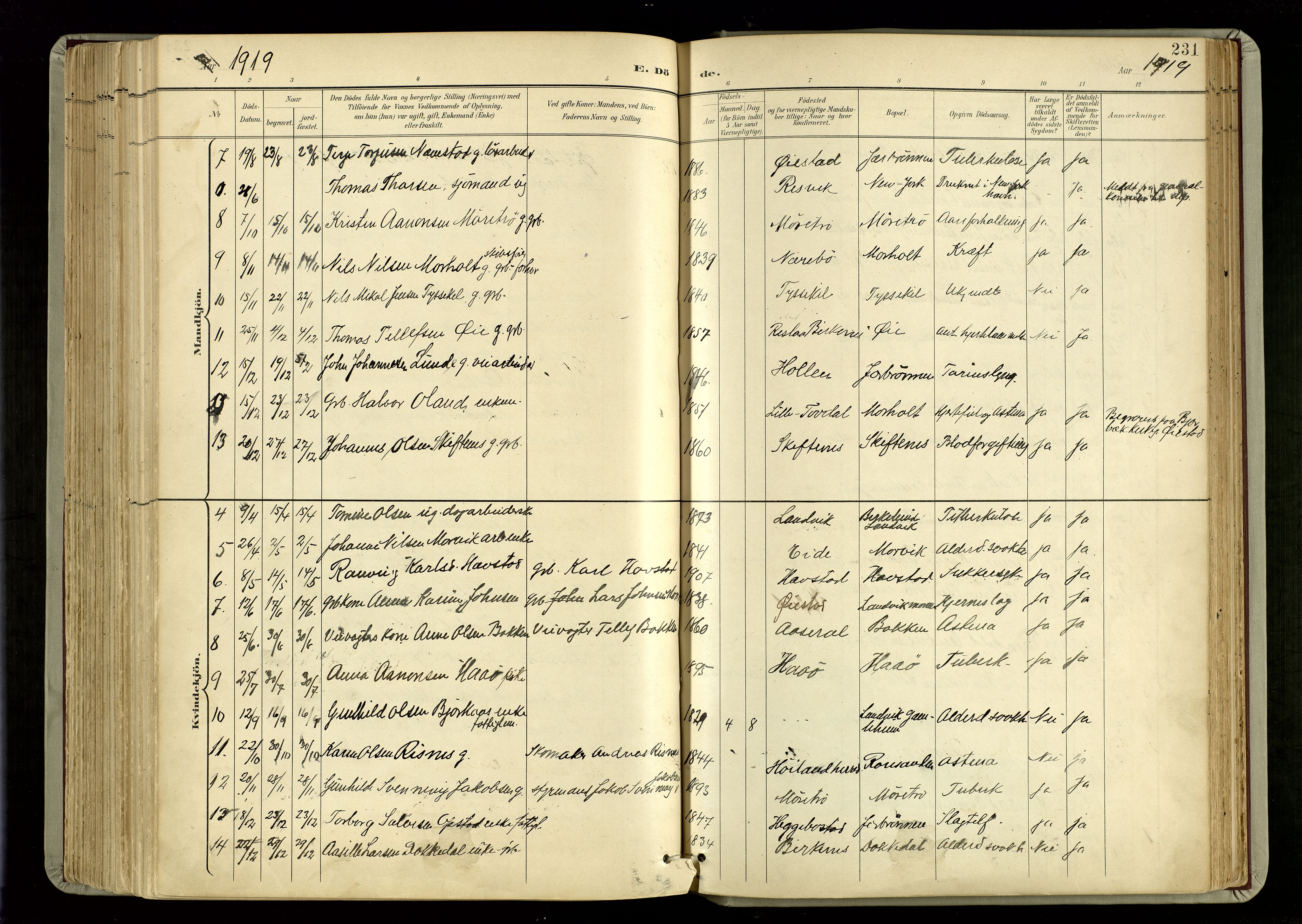 Hommedal sokneprestkontor, SAK/1111-0023/F/Fa/Fab/L0007: Parish register (official) no. A 7, 1898-1924, p. 231