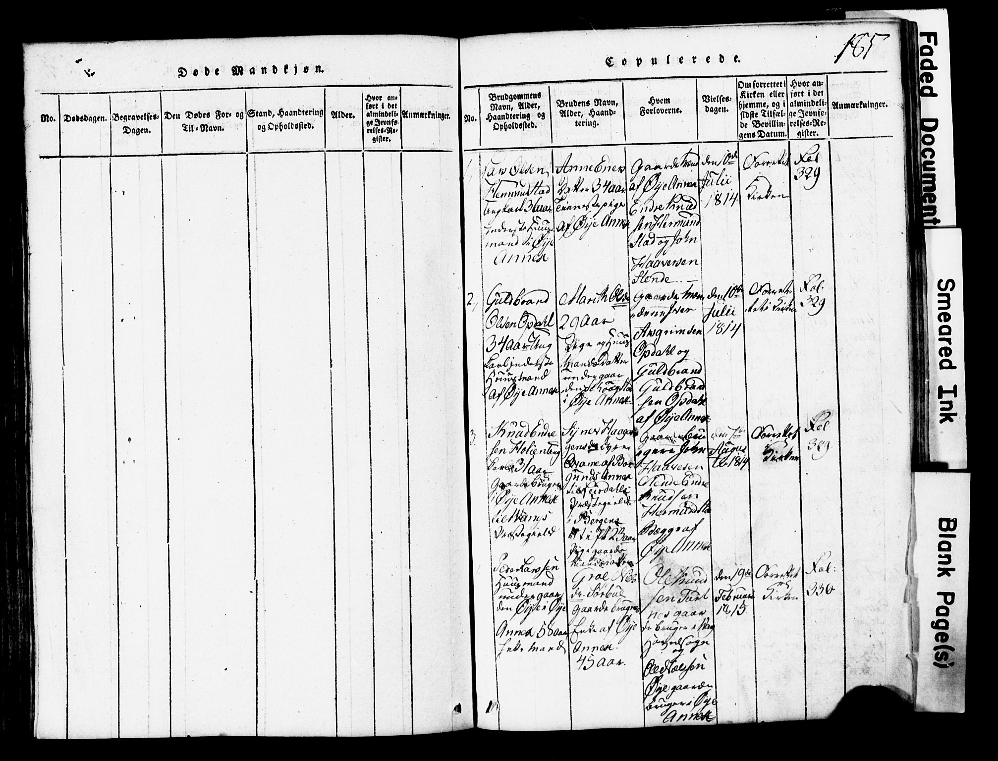 Vang prestekontor, Valdres, SAH/PREST-140/H/Hb/L0001: Parish register (copy) no. 1, 1814-1820, p. 185