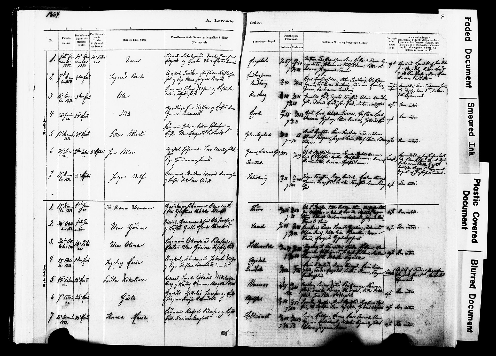 Ministerialprotokoller, klokkerbøker og fødselsregistre - Nord-Trøndelag, SAT/A-1458/744/L0420: Parish register (official) no. 744A04, 1882-1904, p. 8