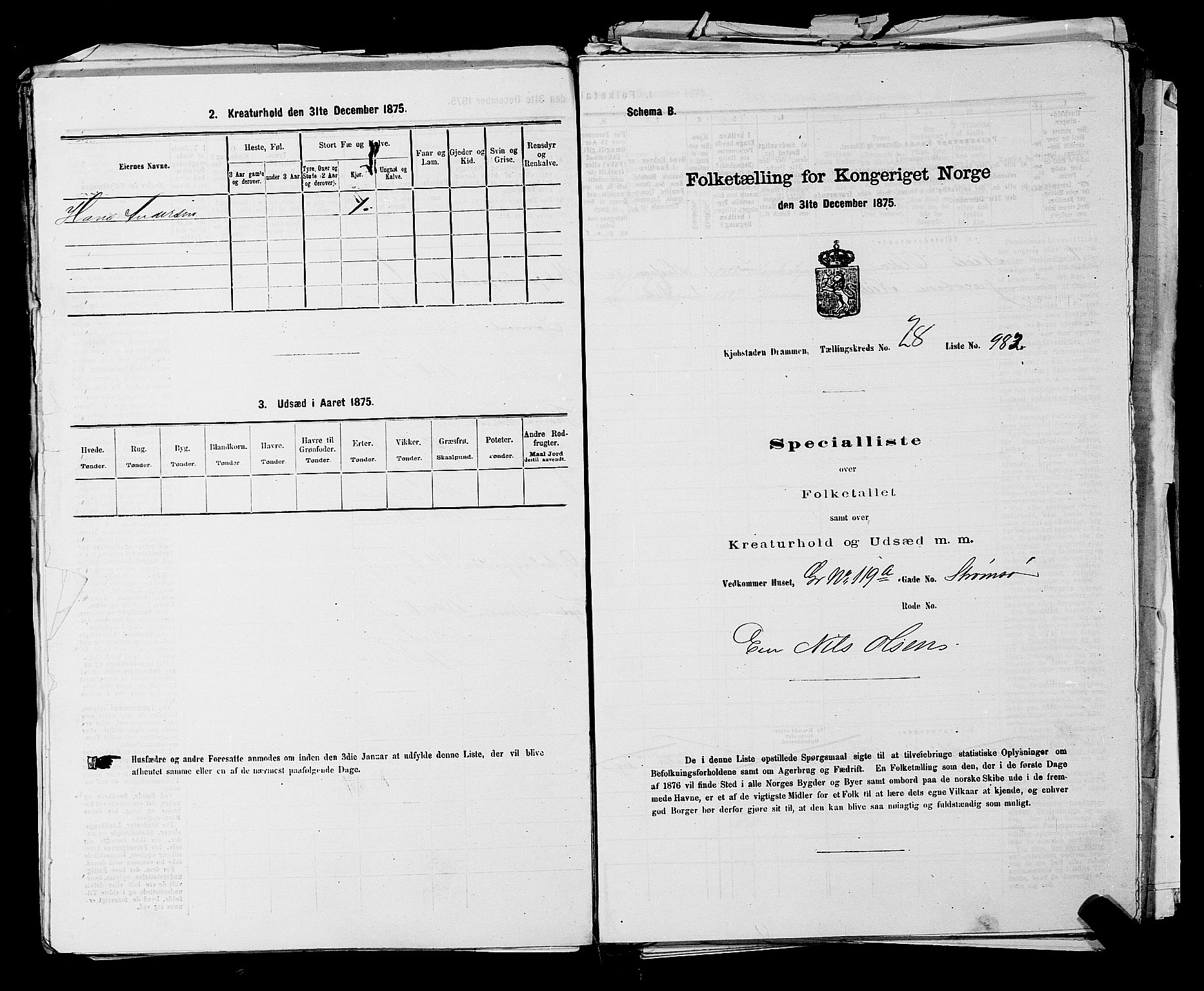 SAKO, 1875 census for 0602 Drammen, 1875, p. 2685