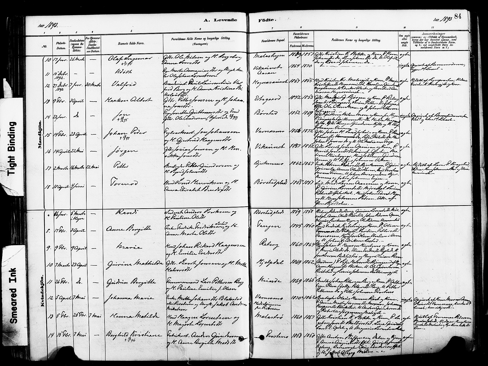 Ministerialprotokoller, klokkerbøker og fødselsregistre - Nord-Trøndelag, AV/SAT-A-1458/709/L0077: Parish register (official) no. 709A17, 1880-1895, p. 84