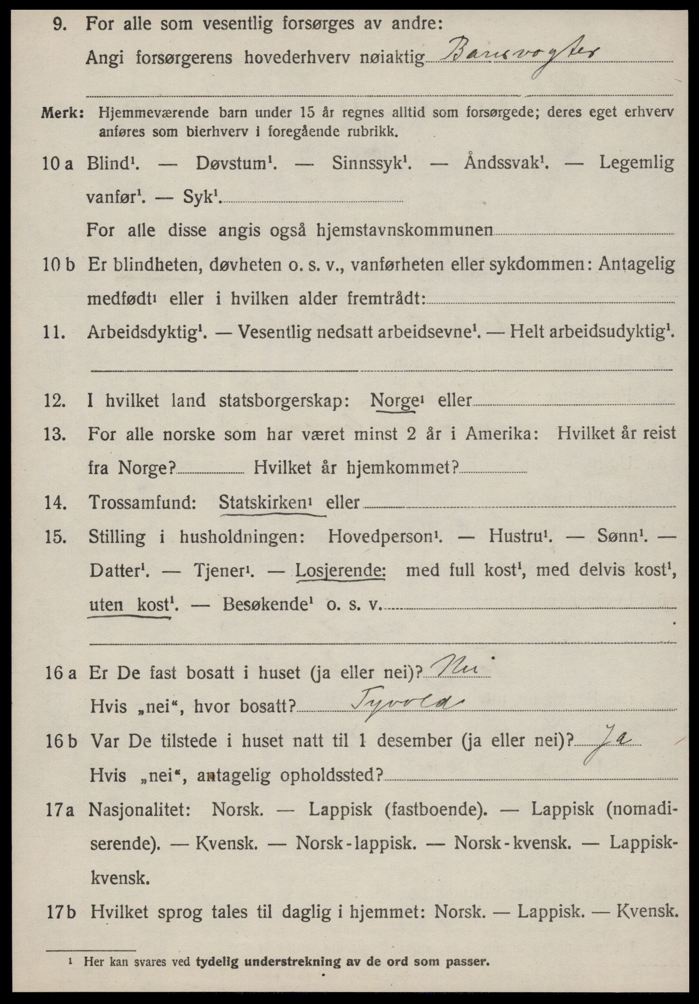 SAT, 1920 census for Røros, 1920, p. 3911