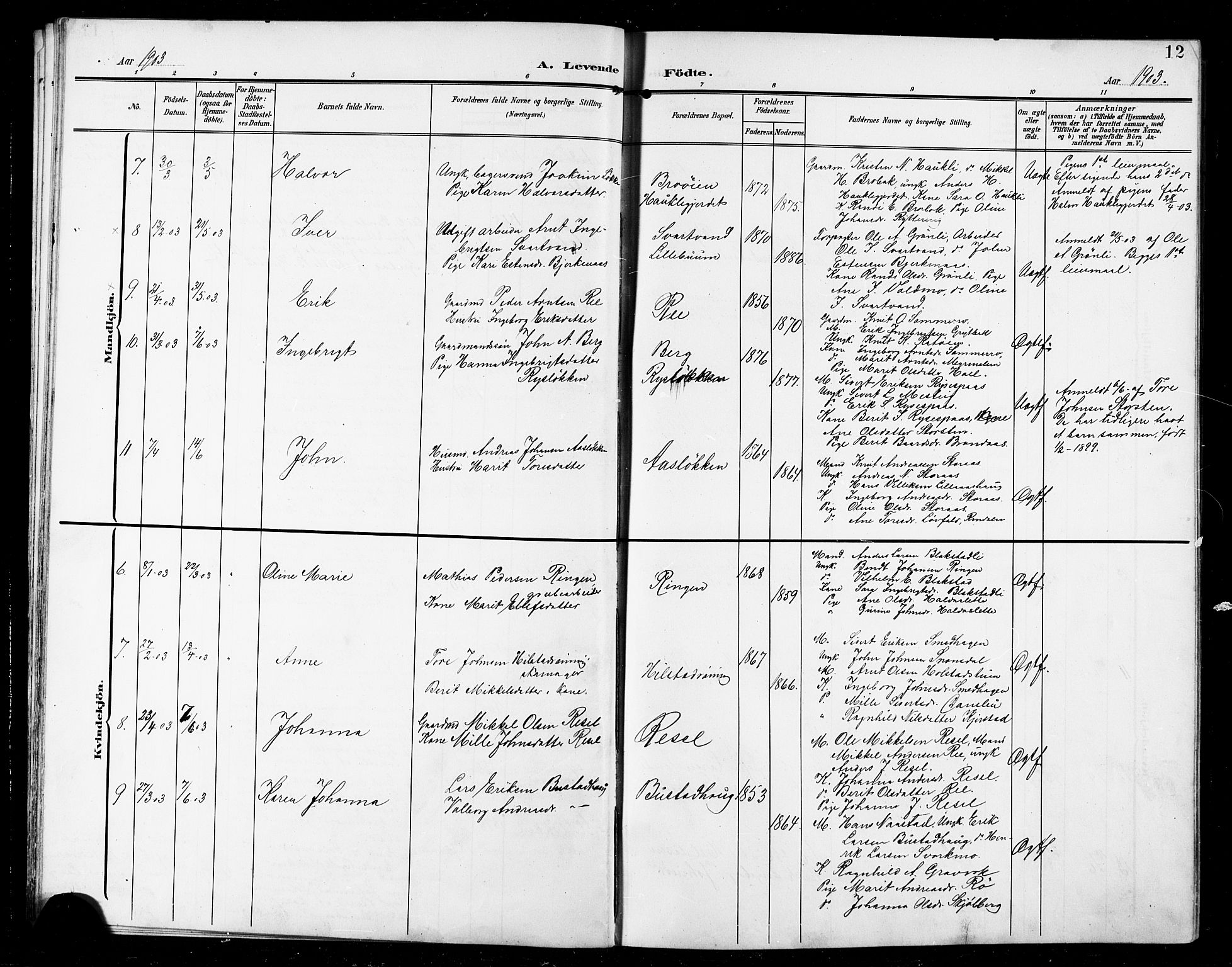 Ministerialprotokoller, klokkerbøker og fødselsregistre - Sør-Trøndelag, SAT/A-1456/672/L0864: Parish register (copy) no. 672C03, 1902-1914, p. 12